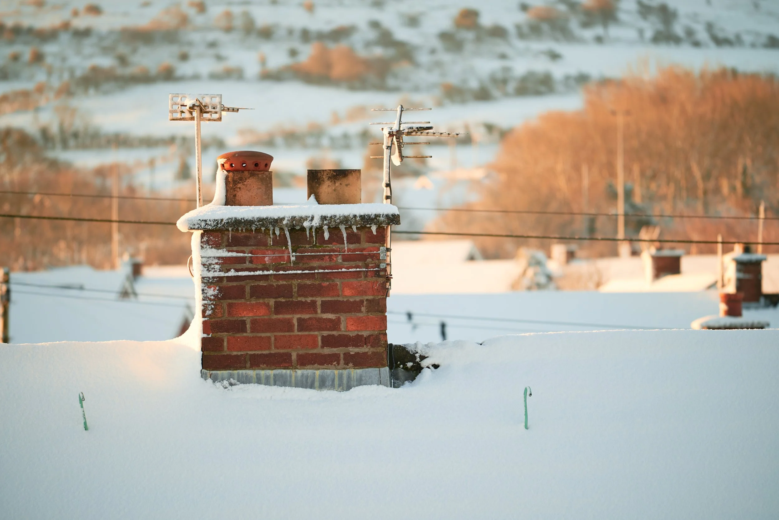 2023-03-10 08.26.48 CLF_5488_EDIT.jpg