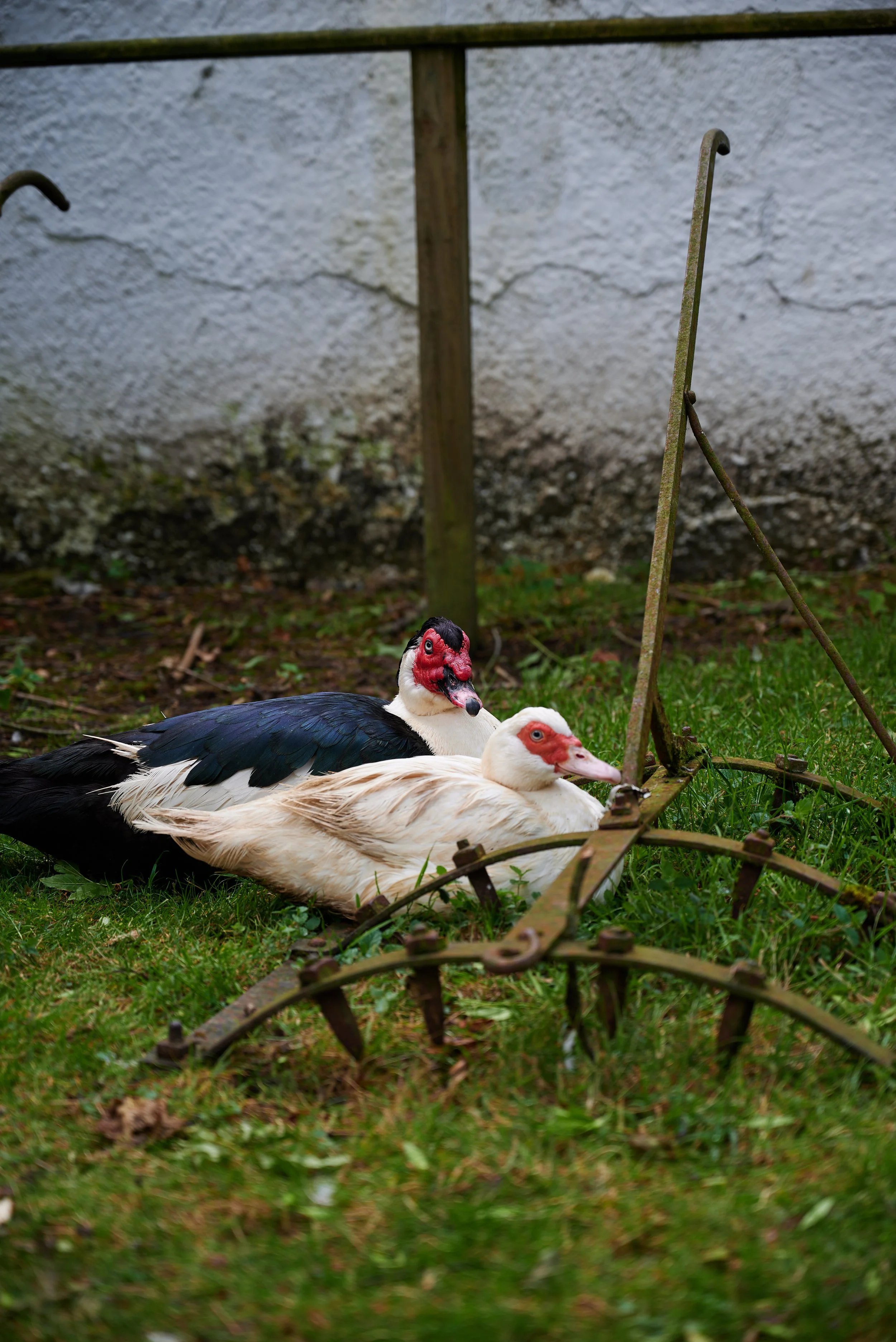 2023-07-02 13.35.33 CLF_7722_EDIT.jpg