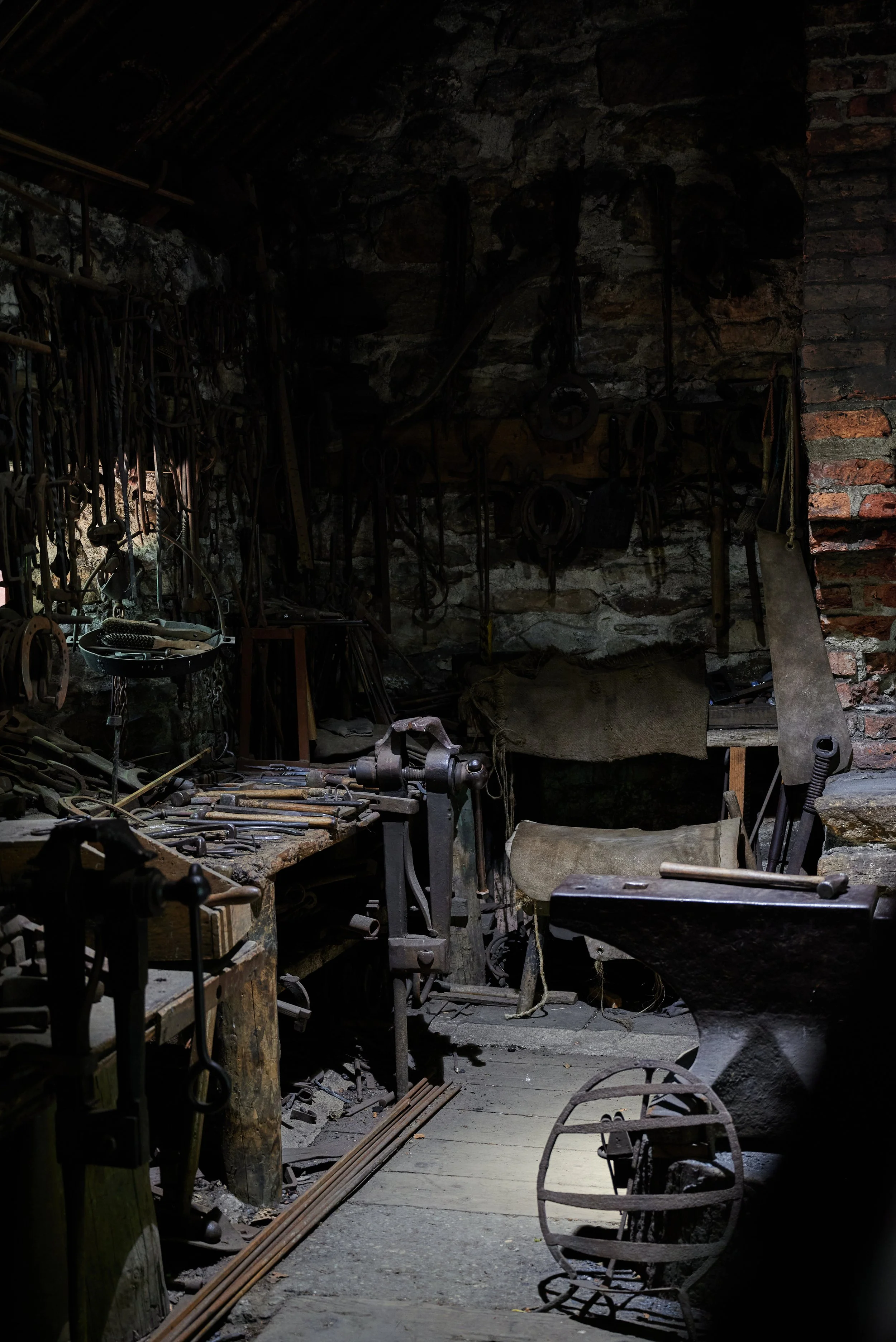 2023-07-02 13.20.54 CLF_7716_EDIT.jpg