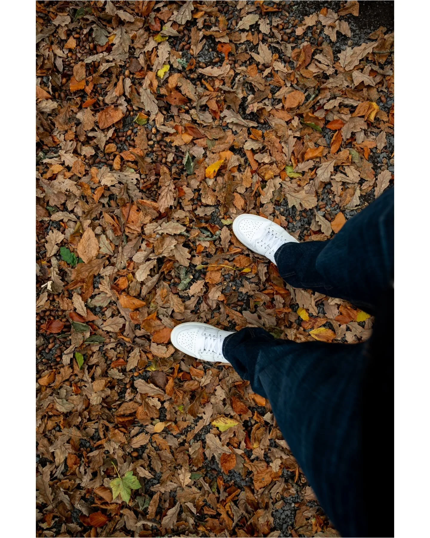 🏕️
&bull;
📸 Nikon Z5
&bull;
#autumn #october #fall #photooftheweek #photography #photooftheday #nature #outdoors #outdoorphotography #woods #cabin #november #naturephotography #naturelovers #nikon #nikonphotography