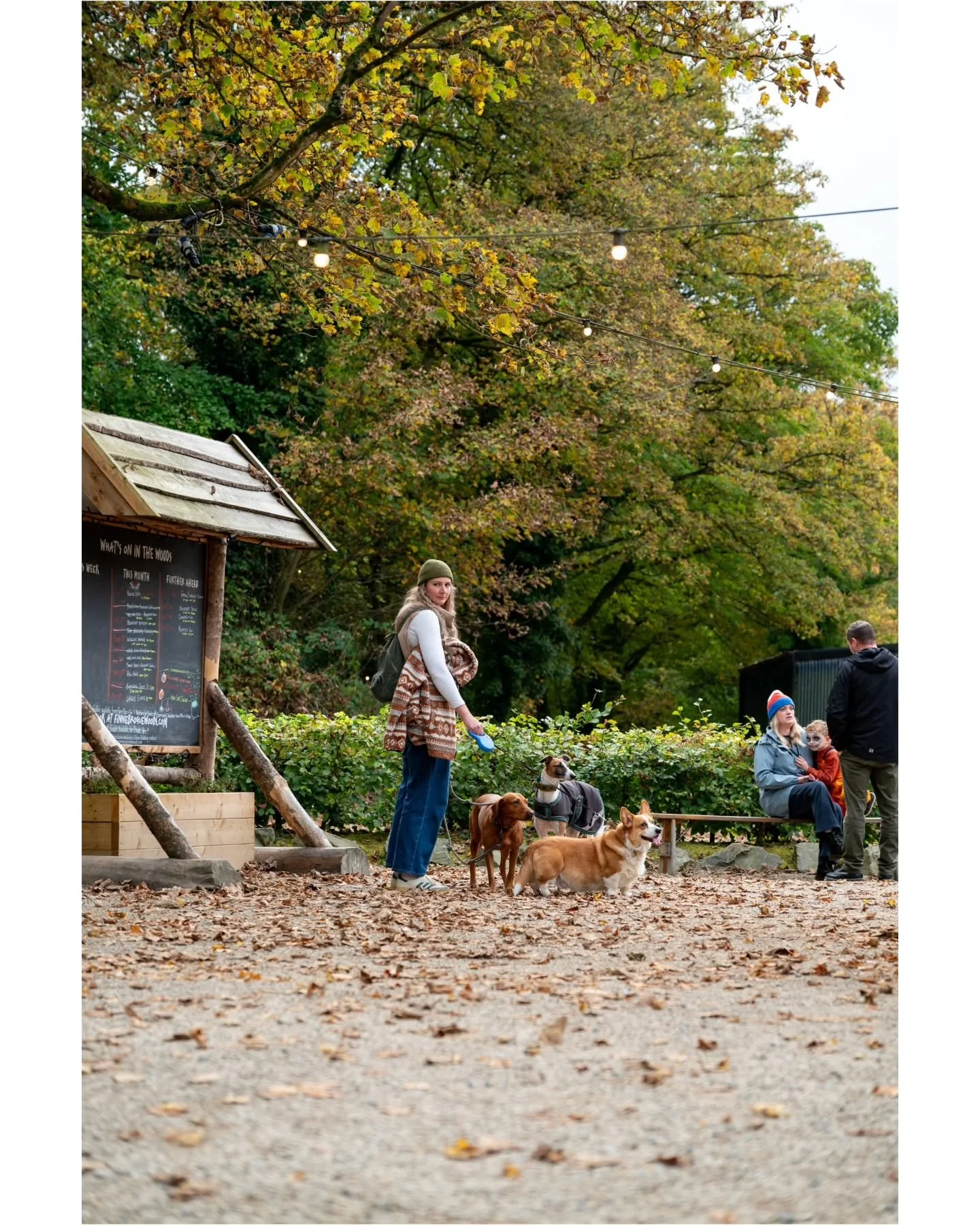 🍁
&bull;
📸 Nikon Z5
&bull;
#autumn #october #fall #photooftheweek #photography #photooftheday #nature #outdoors #outdoorphotography #lakeview #november #naturephotography #naturelovers #nikon #nikonphotography