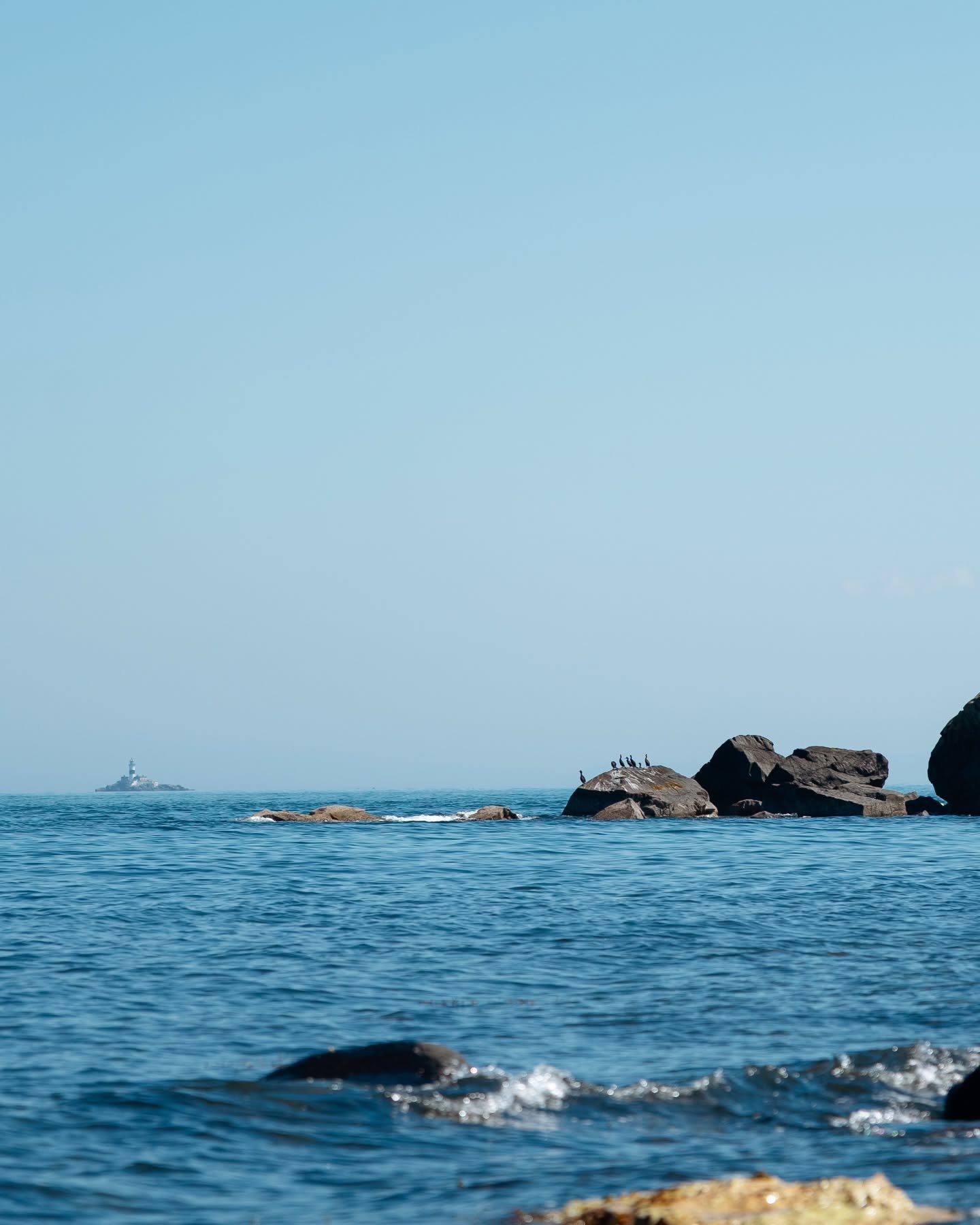 🦤
&bull;
📸 Nikon Z5
1/2000
f/4
ISO 100
&bull;
#cushendun #beach #belfast #belfastphotographer #nikonphotographers #nikonphotography #northernirelandphotographer #northernirelandtourism #jetskis #jetskiclub #cbviews #igersuk #tourismireland #sunnyda