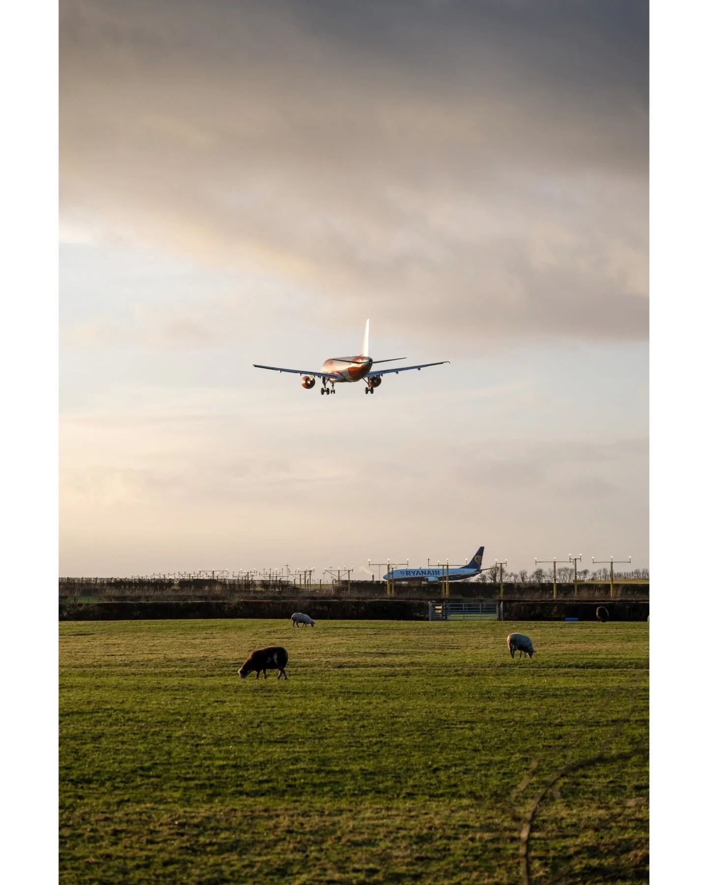 🧭
&bull;
📸 Nikon Z5
🔭 24-120 f/4 S
&bull;
#aviationphotography
#aviationdaily #aviation #aviationlovers #planelovers