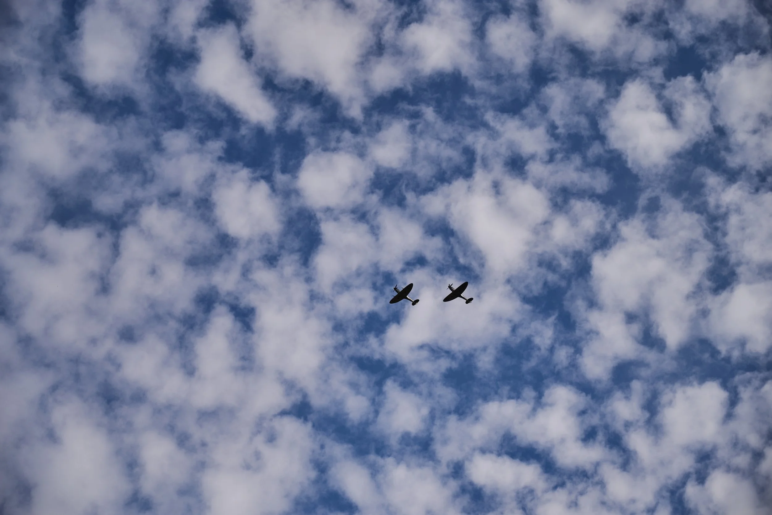 2022-09-12 14.27.16 CLF_3016_EDIT.jpg