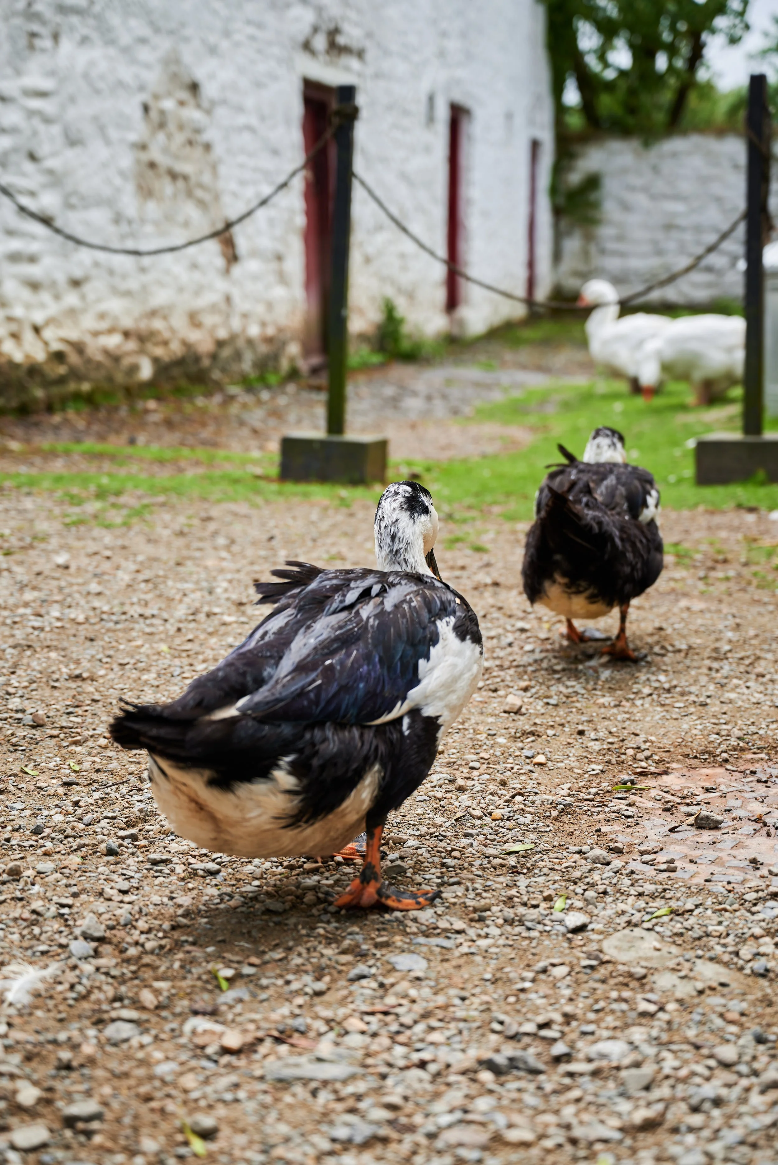 2023-07-02 13.37.41 CLF_7730_EDIT.jpg