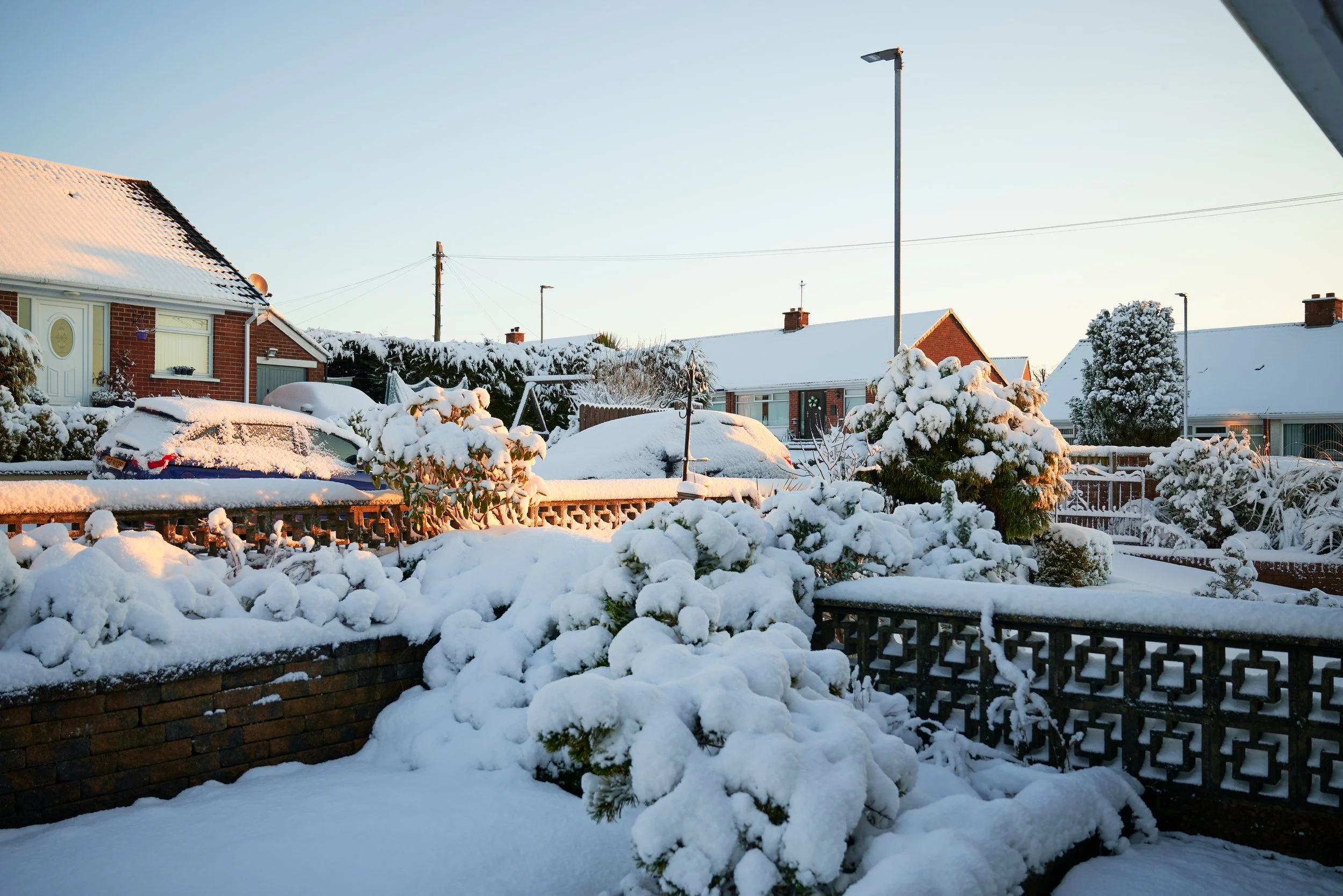 2023-03-10 08.12.22 CLF_5458_EDIT.jpg