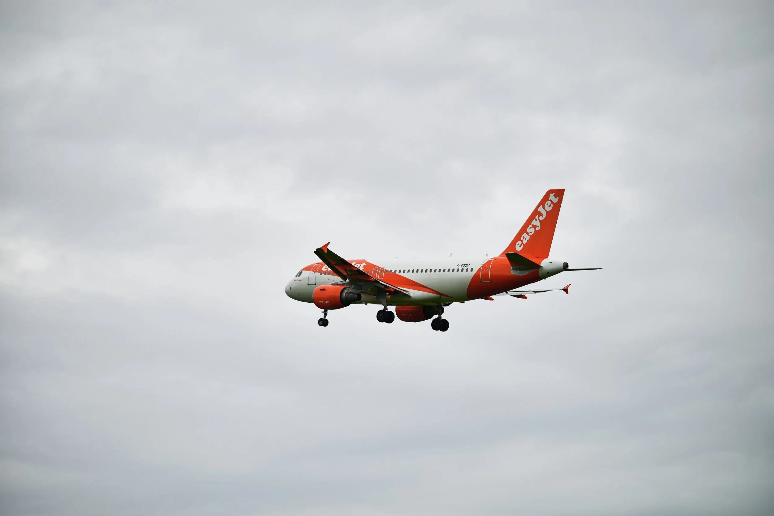 2023-07-21 12.42.06 CLF_7924_EDIT.jpg