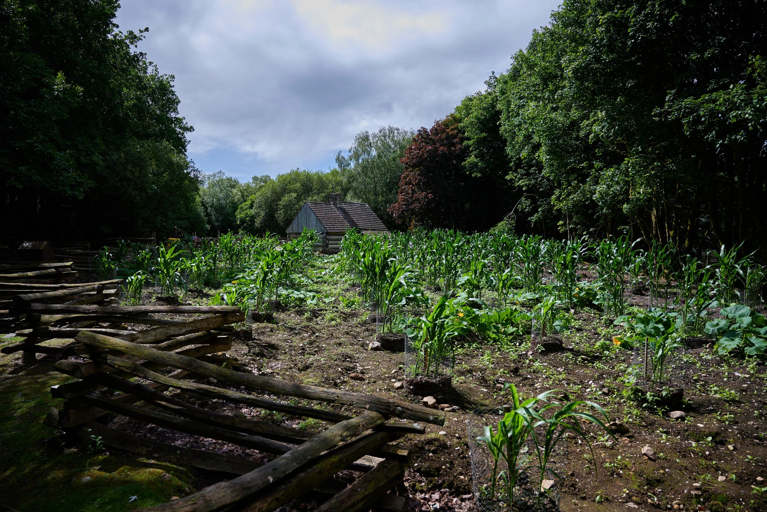 2023-07-02 15.14.17 CLF_7801_EDIT.jpg