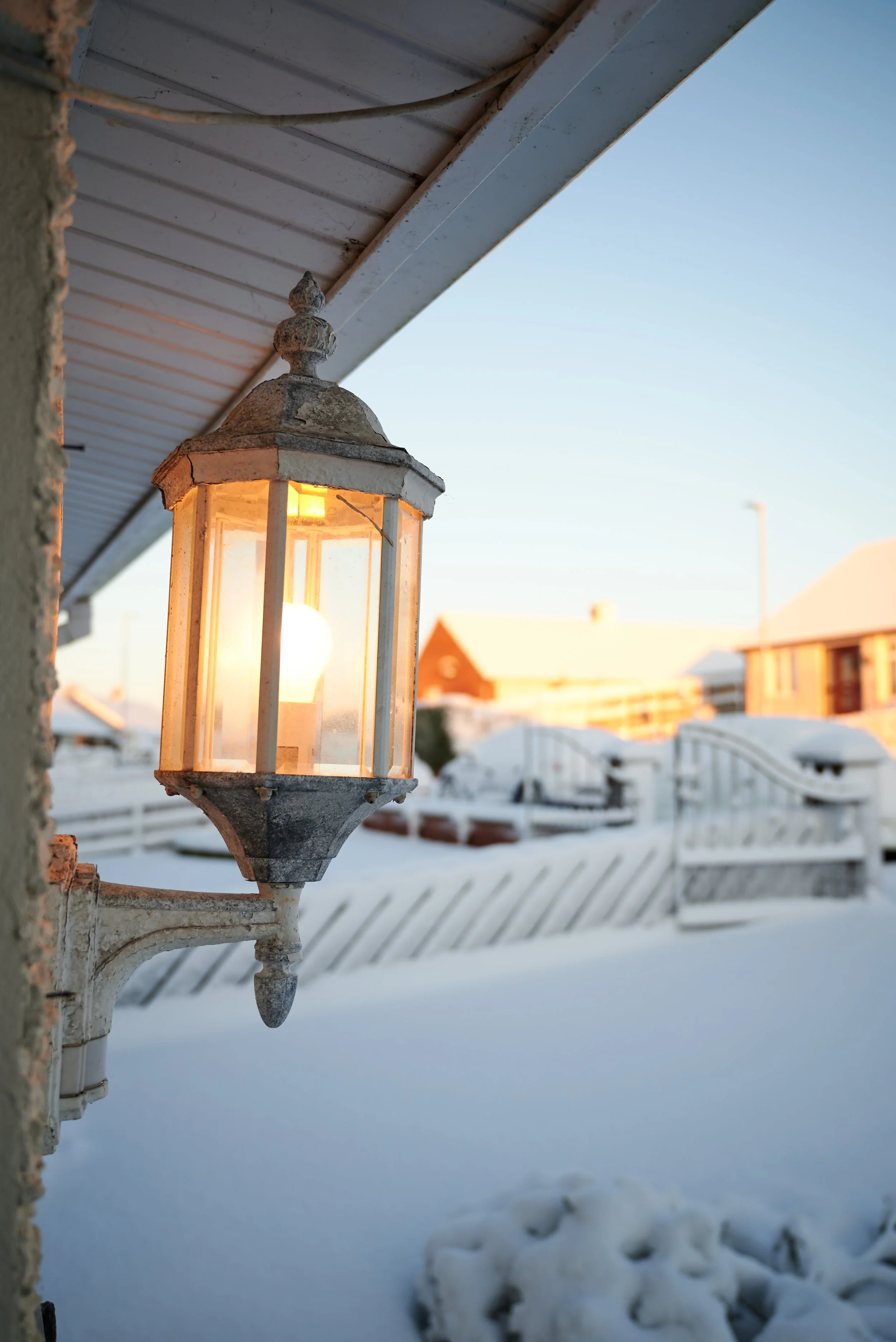 2023-03-10 08.12.35 CLF_5459_EDIT.jpg