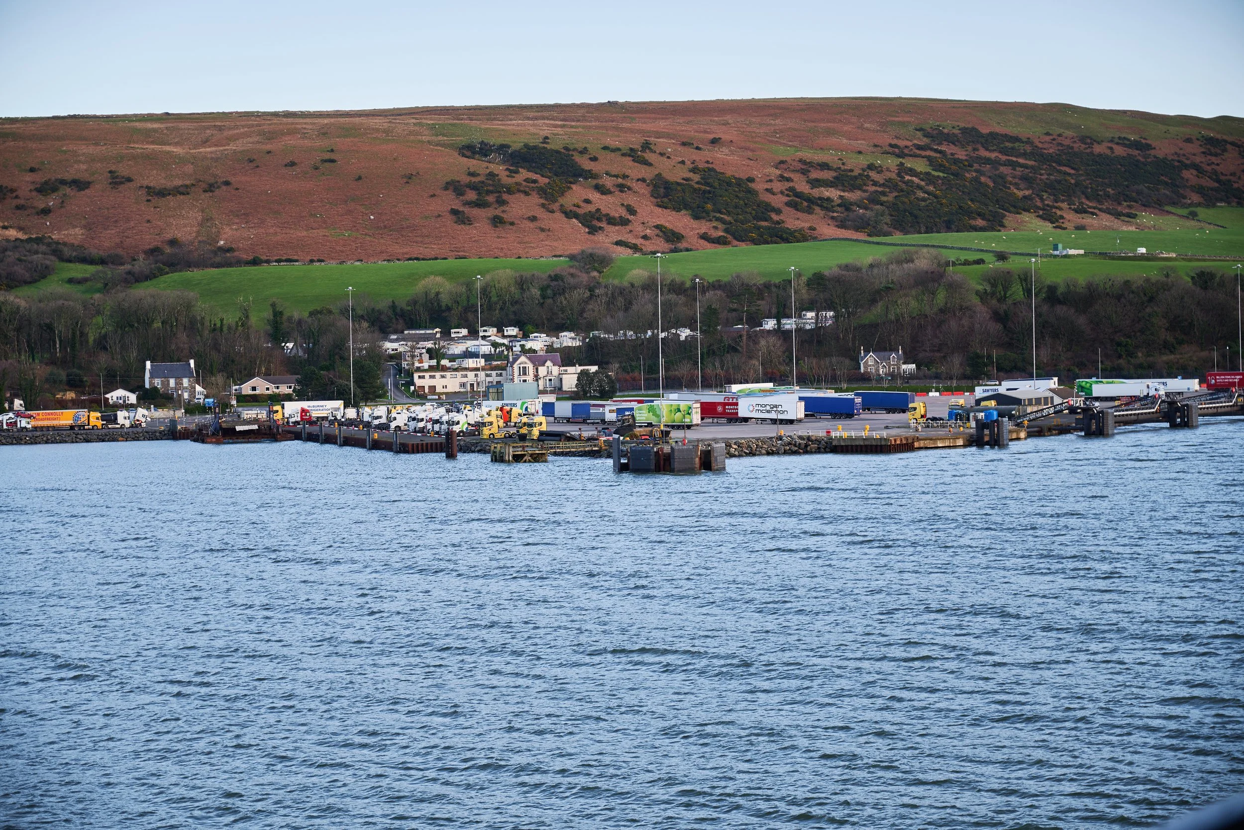 2022-01-05 14.51.27 CLF_1660_EDIT.jpg