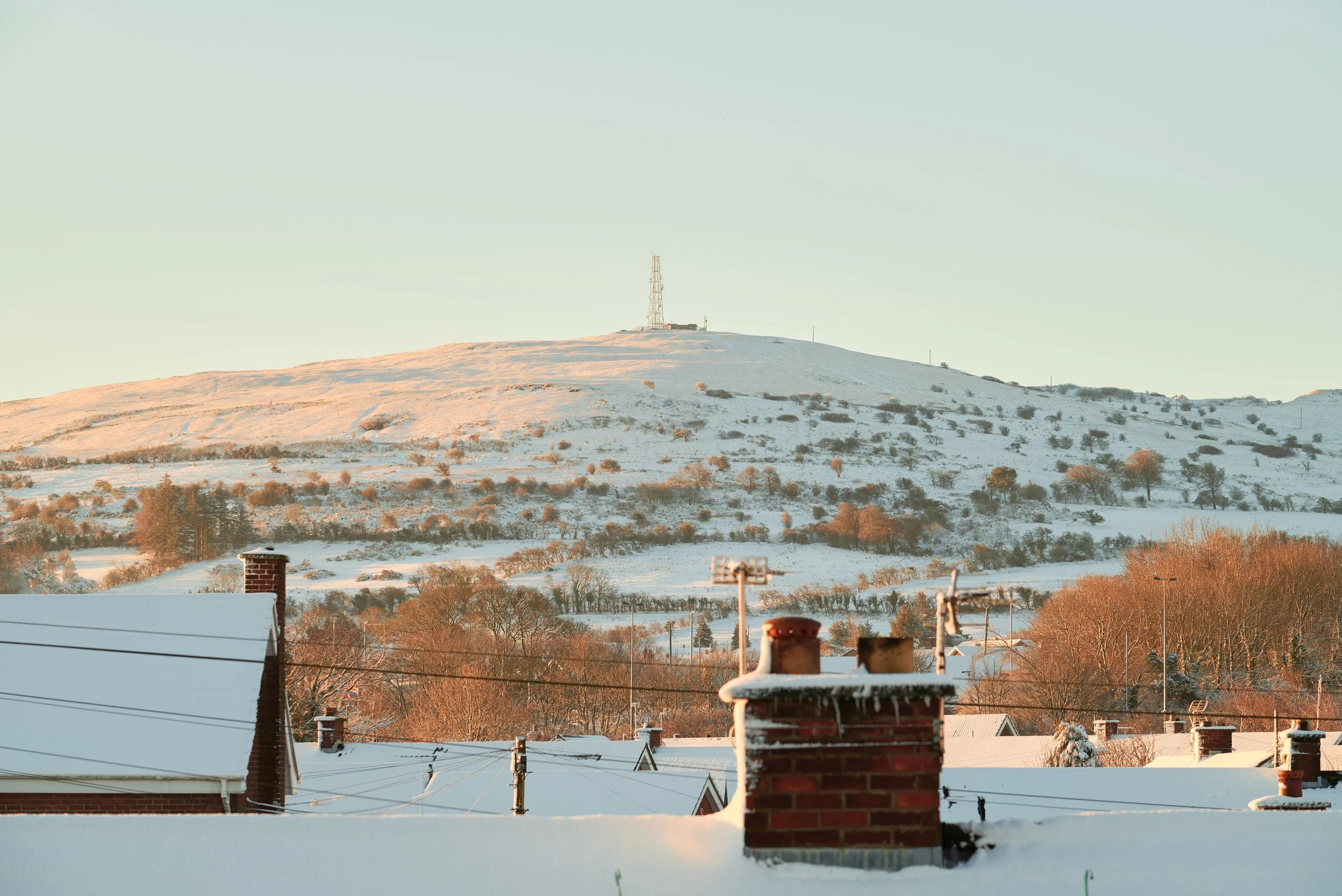 2023-03-10 08.27.11 CLF_5489_EDIT.jpg