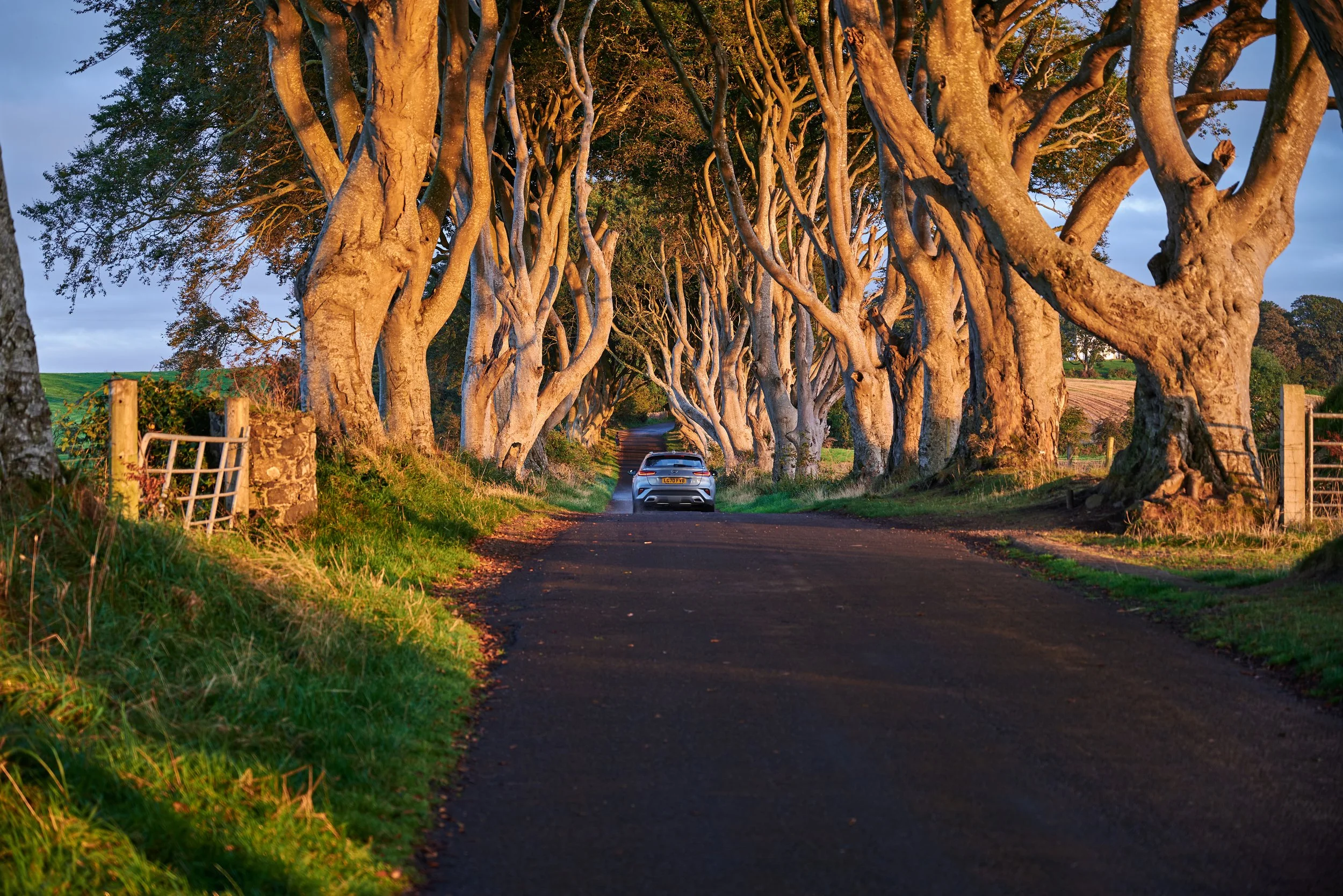 2023-09-09 19.43.48 CLF_8088_EDIT.jpg