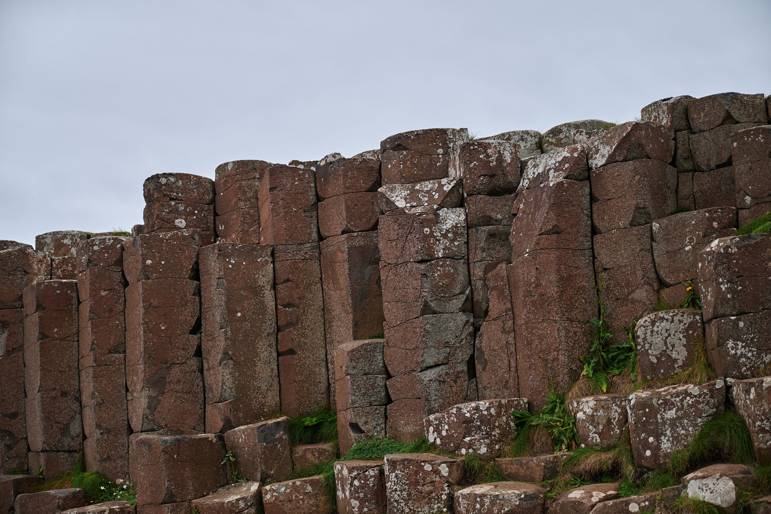 2023-09-09 16.27.19 CLF_8049_EDIT.jpg