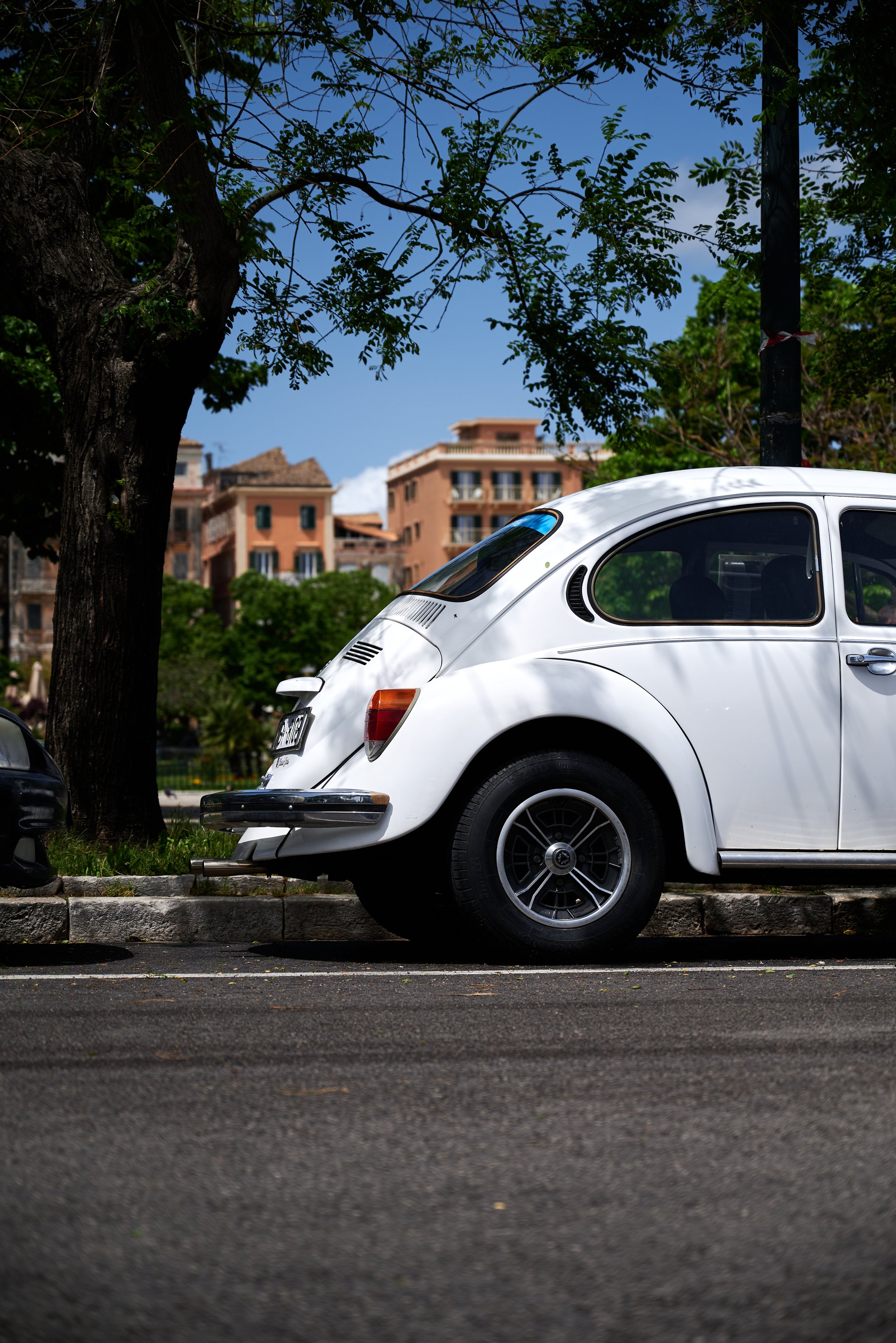 2023-05-16 10.33.12 CLF_6331_EDIT.jpg