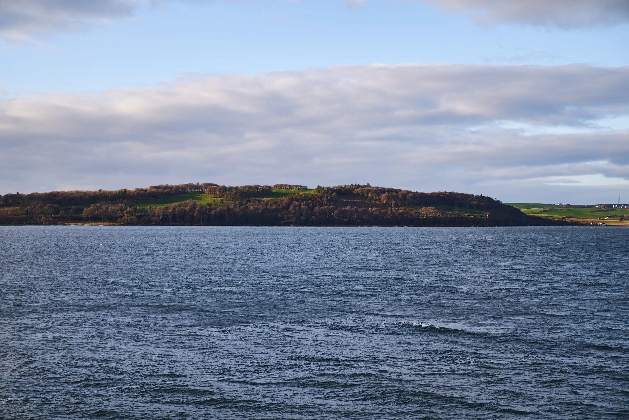 2022-01-05 14.46.17 CLF_1657_EDIT.jpg