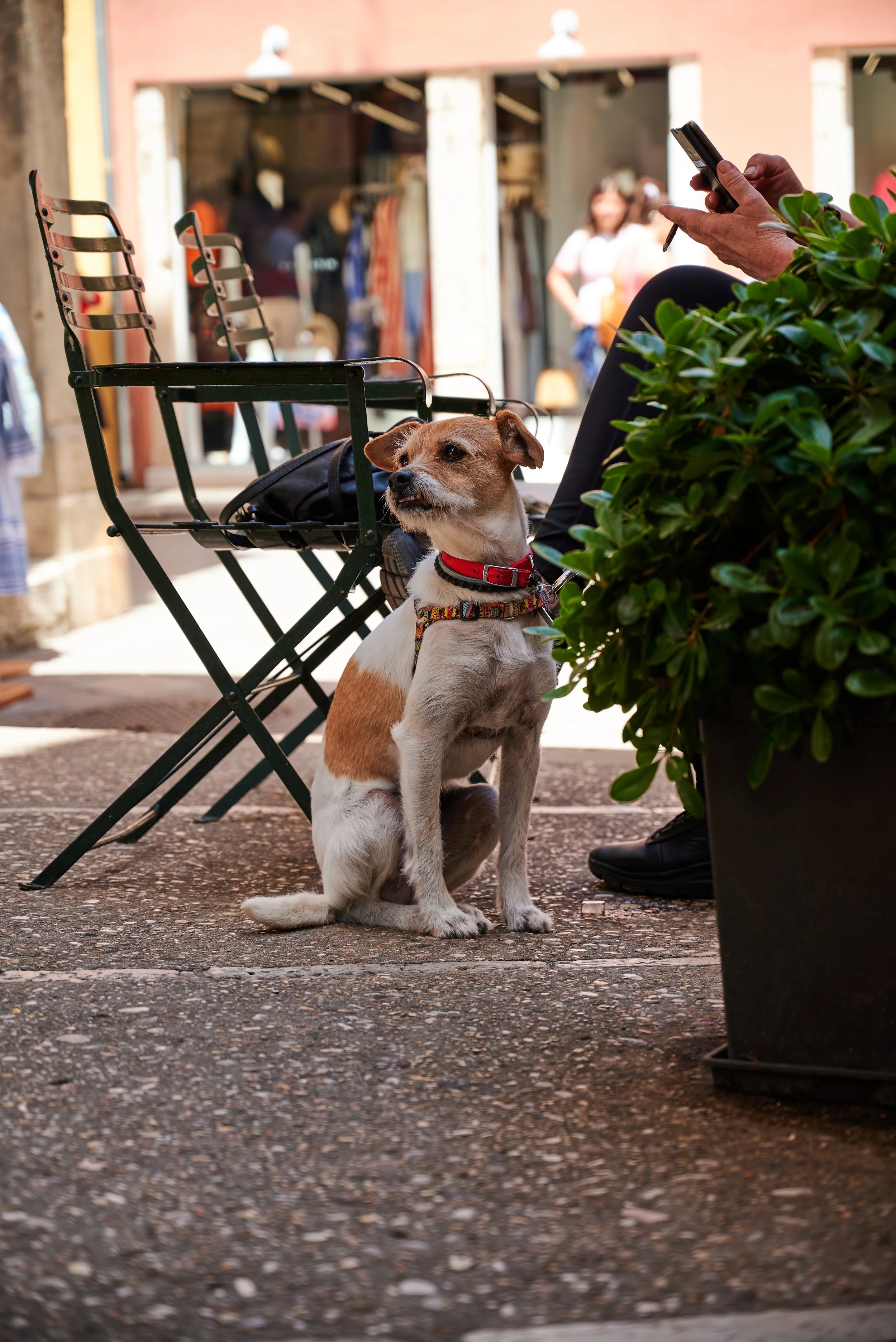 2023-05-16 12.16.37 CLF_6392_EDIT.jpg