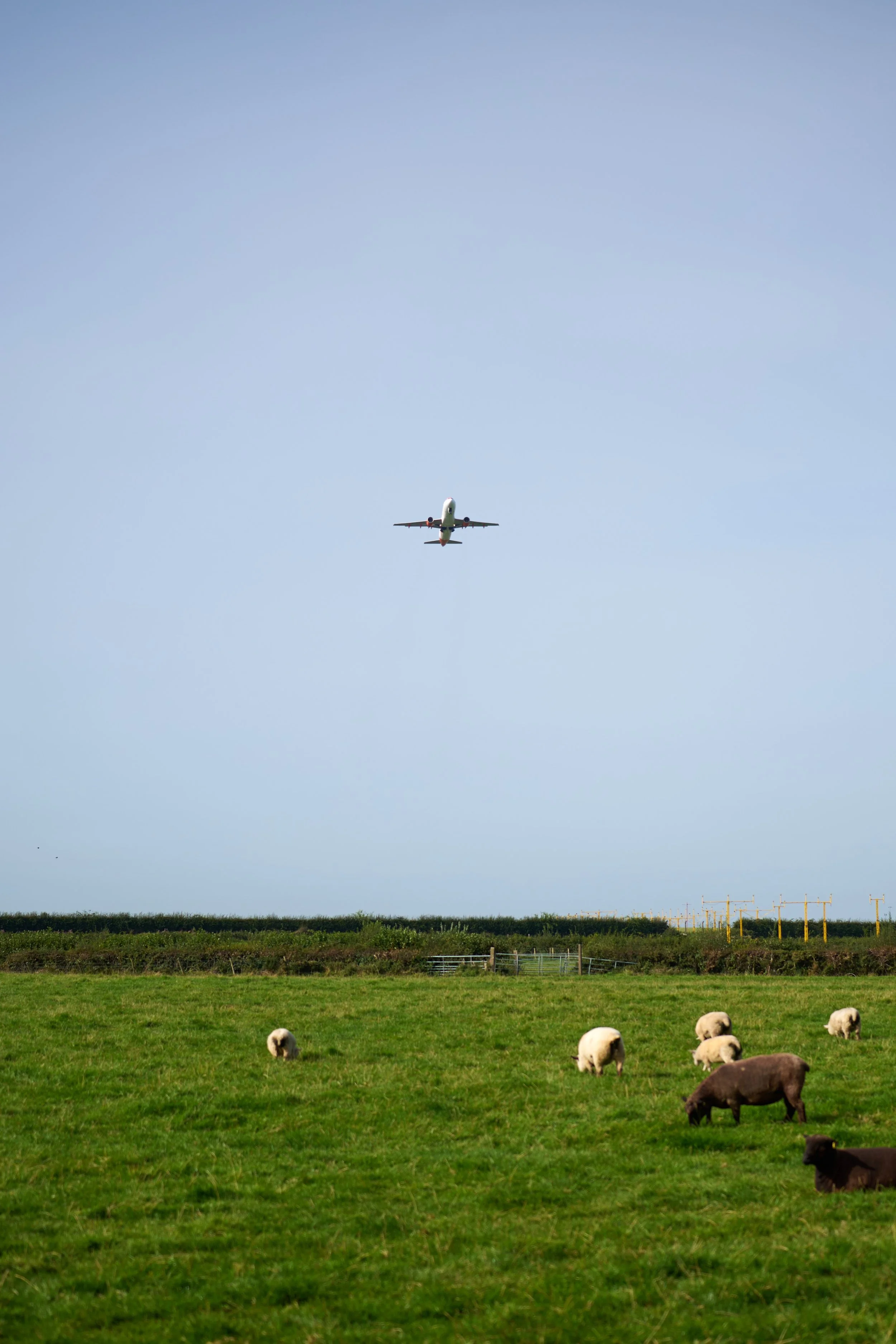 2023-09-05 11.07.23 CLF_7956_EDIT.jpg