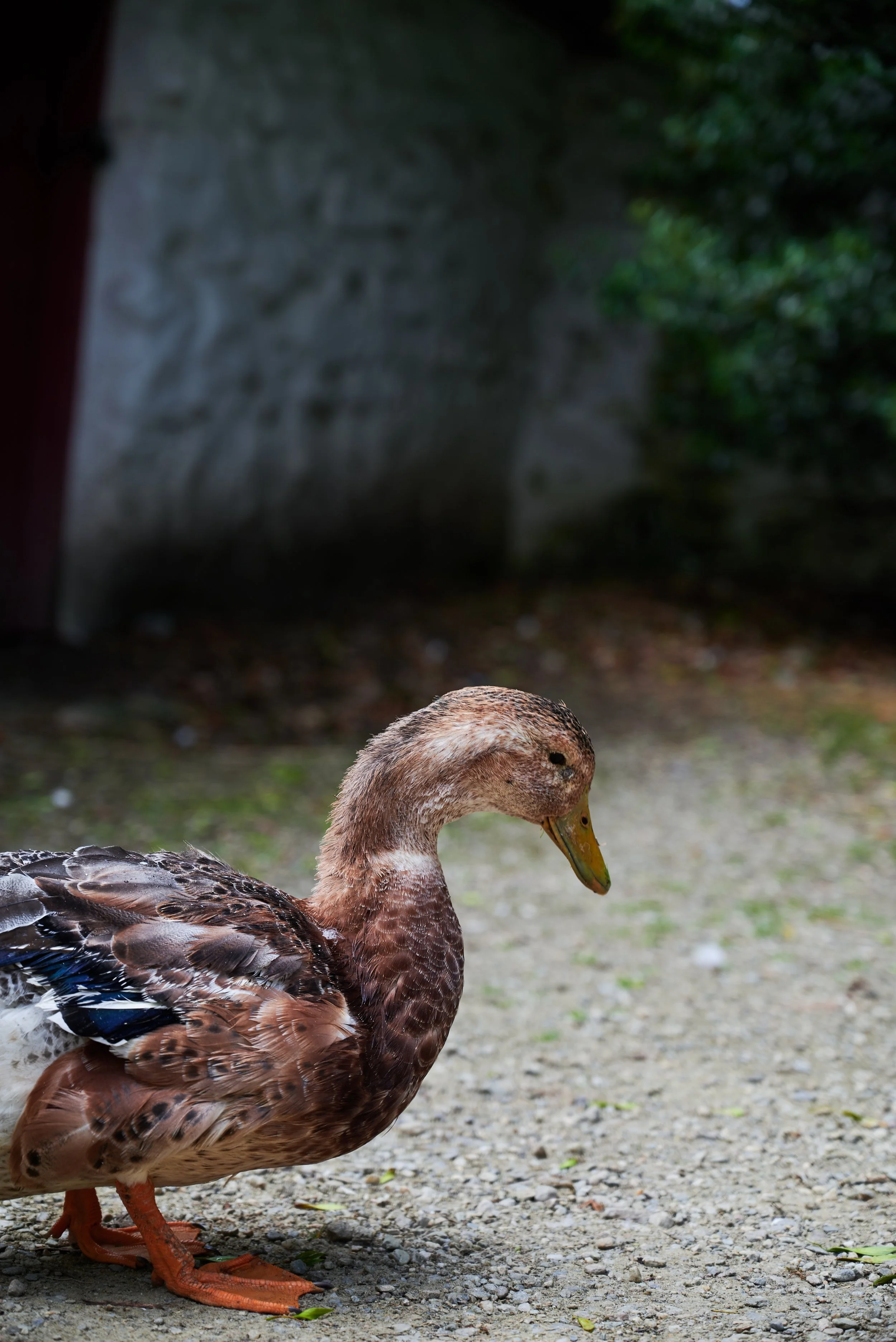 2023-07-02 13.37.25 CLF_7727_EDIT.jpg