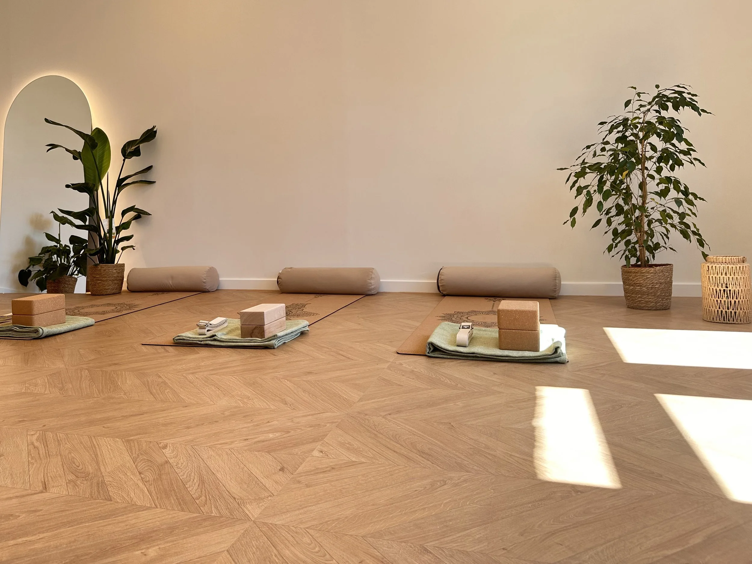 A minimal yoga or meditation space with plants, yoga bolsters, mats, and meditation blocks on a wooden floor against a plain white wall.