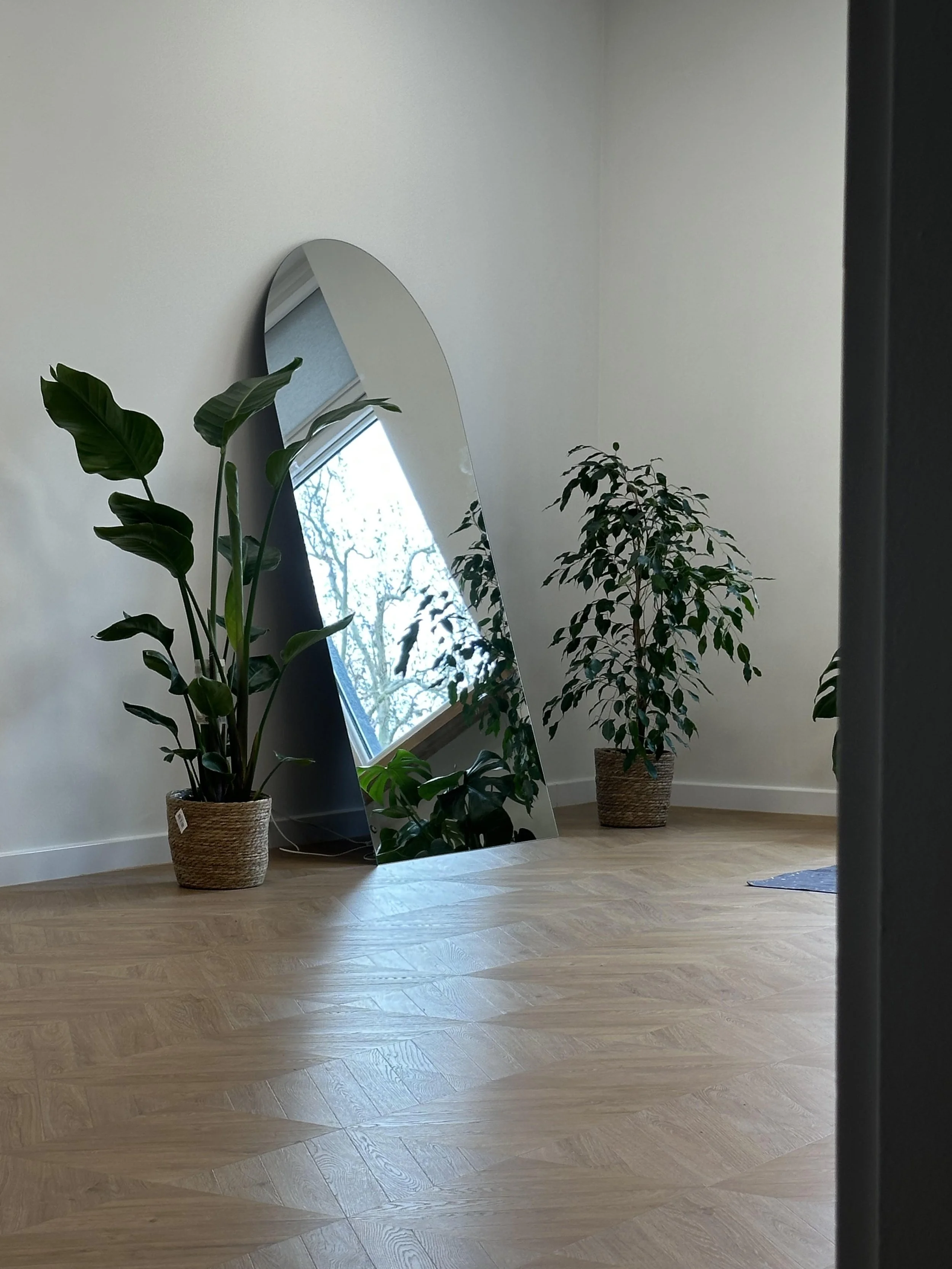 A room with hardwood flooring, a tall mirror leaning against the wall, and two potted indoor plants, one large with broad leaves and one smaller with thinner leaves. There is a window reflected in the mirror showing trees outside.