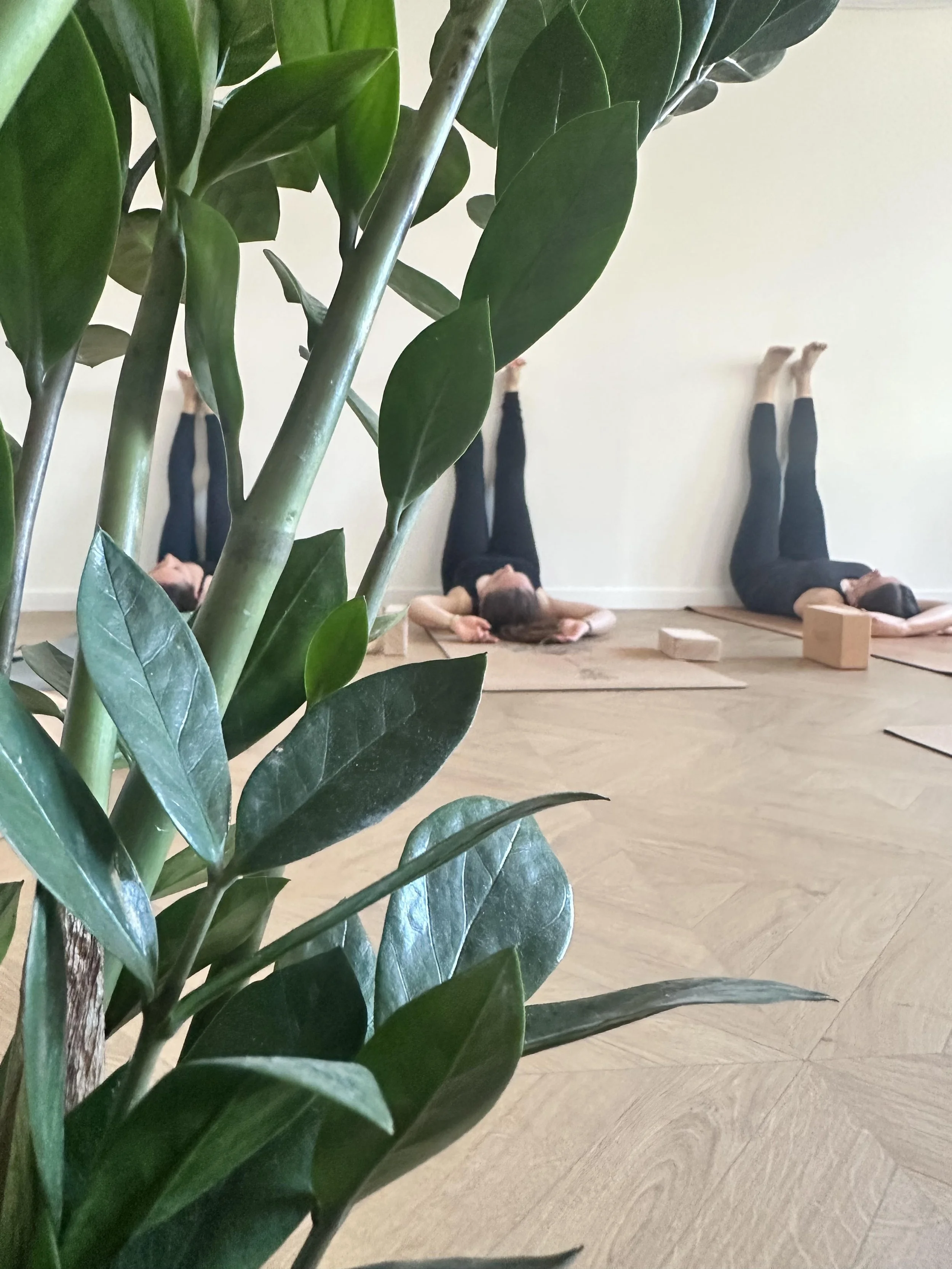 joga po pracy, odpoczynek po pracy, zdrowy kręgosłup