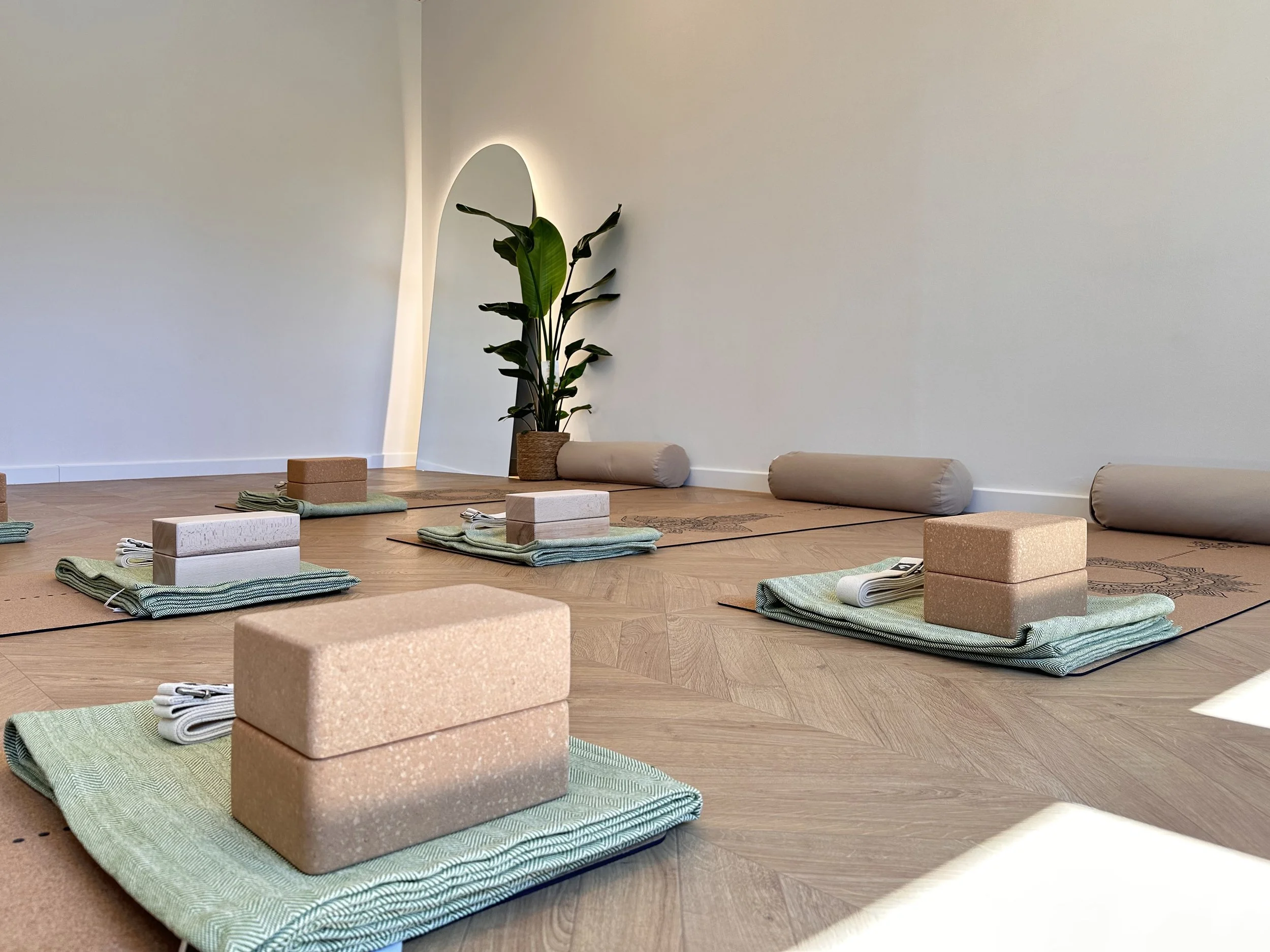 Yoga mats with folded towels, yoga blocks, and cork yoga bolsters arranged on a wooden floor in a minimalist room with a large green plant and a mirror on the wall, preparing for a yoga class.