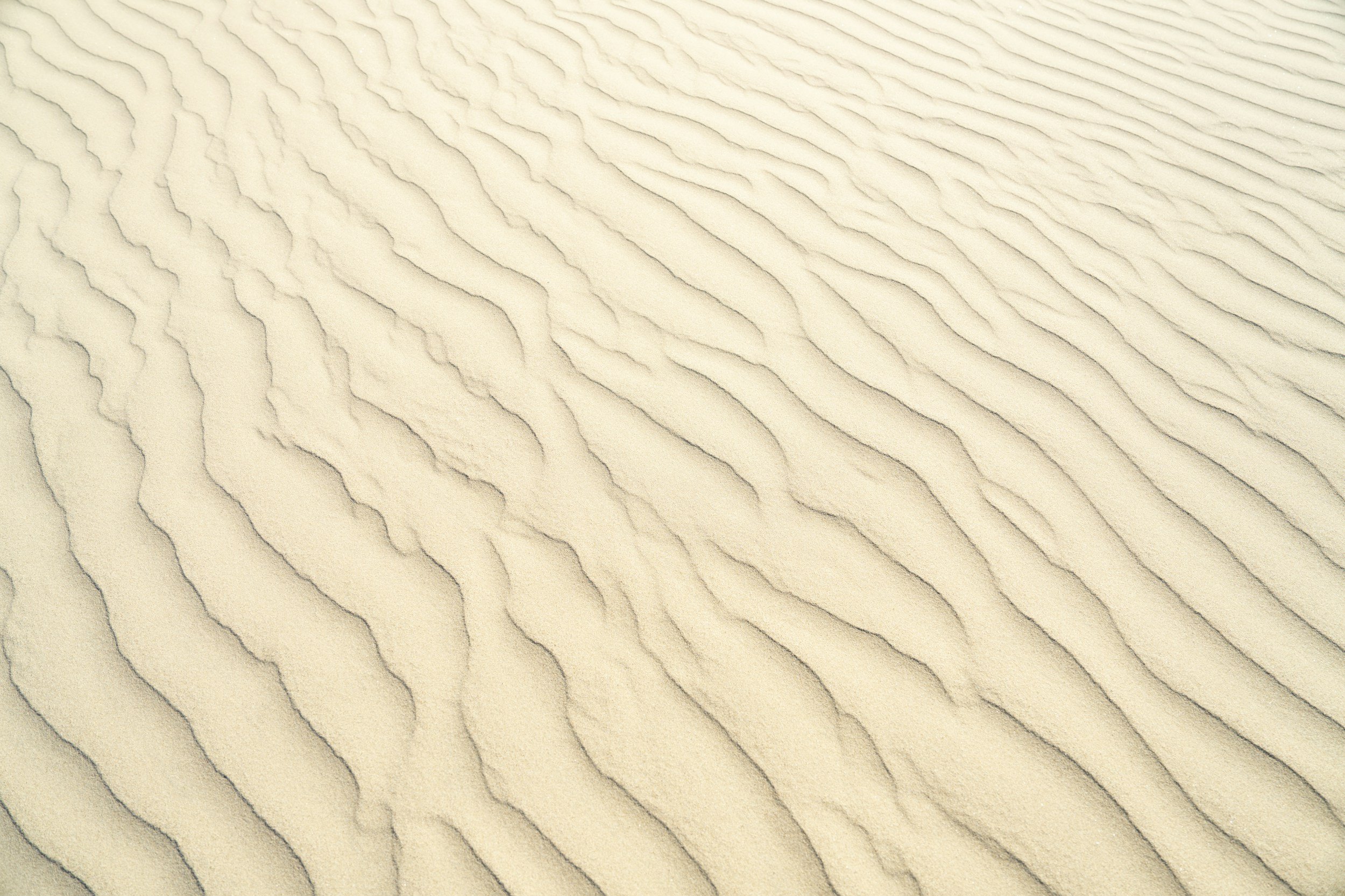 Mønstre i sand, skabt af vind.