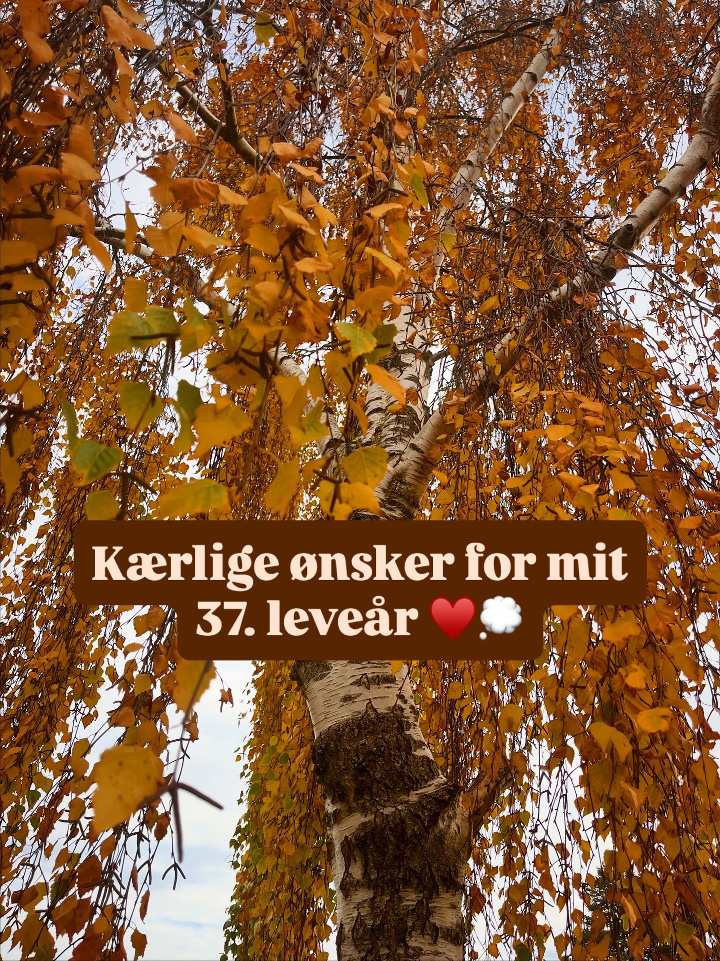 Kl. 15.00 i dag fuldendte jeg min 36. runde om solen i dette liv. Endnu en runde med stor indre transformation; dyb integration; masser af k&aelig;rlighed, st&aelig;rke soul connections og nye eventyr. Af hele mit hjerte tak til alle jer smukke sj&ae