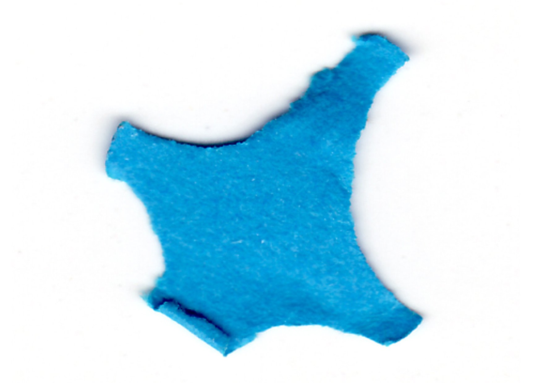confetti3_3_1754.jpg
