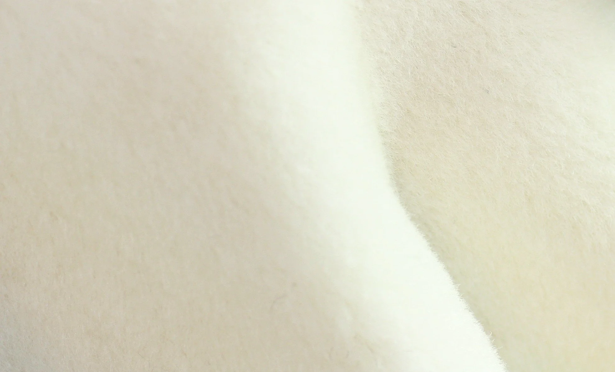 Mira | White