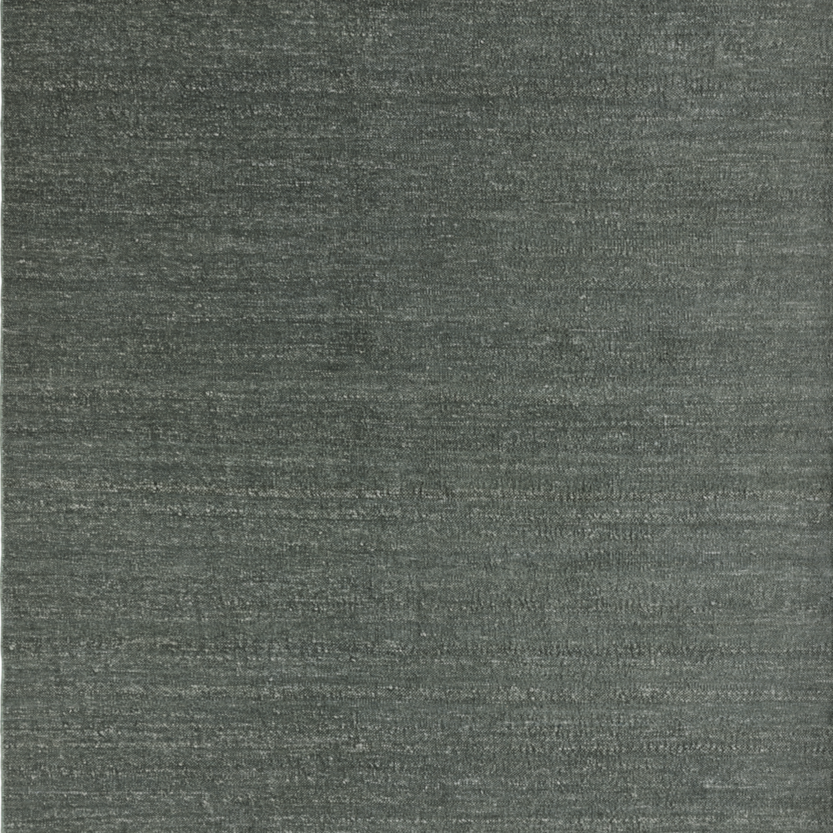 Latitude | Pine