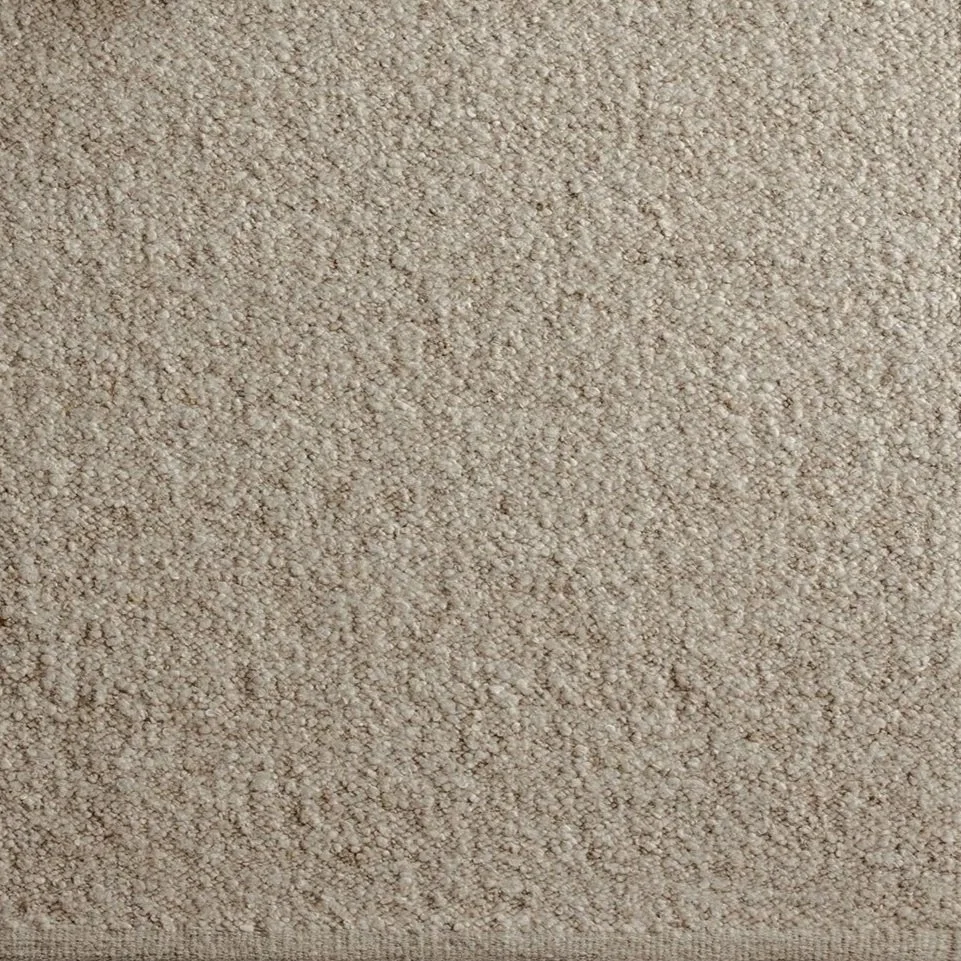 Pebble | Whippet