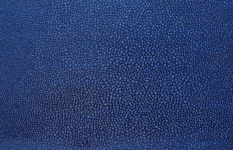 Grain de Galuchat | Marine