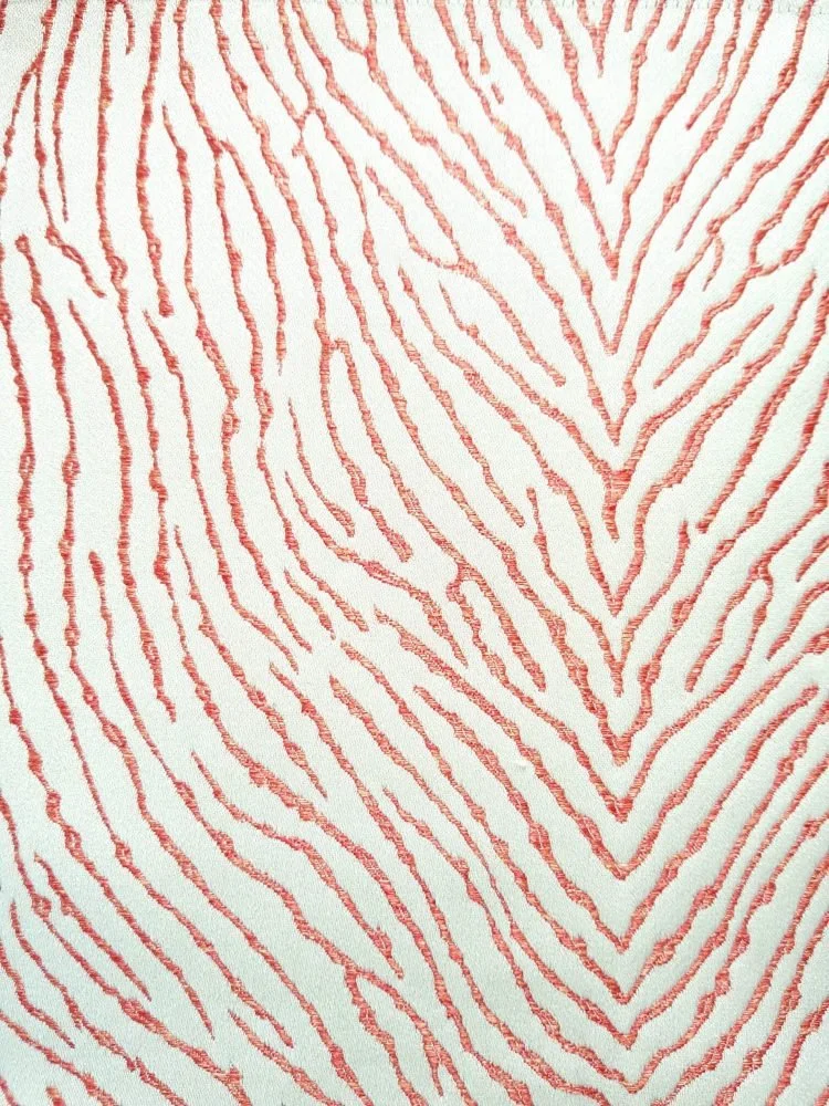 Fungia Corail | Bisque