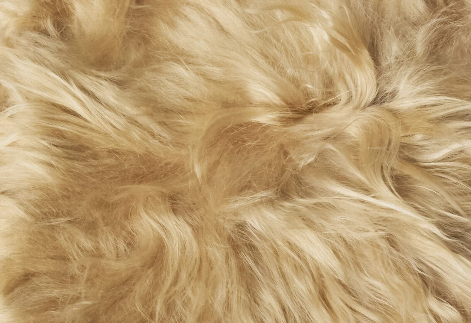 Suri | Nude