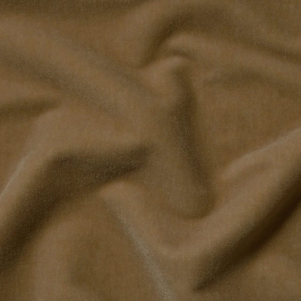 Marci | Camel