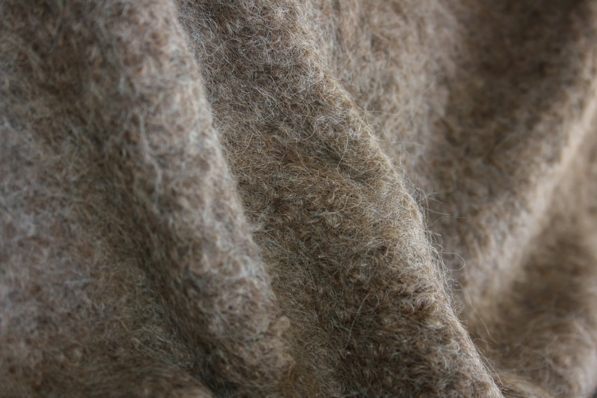 Sierra | Chestnut