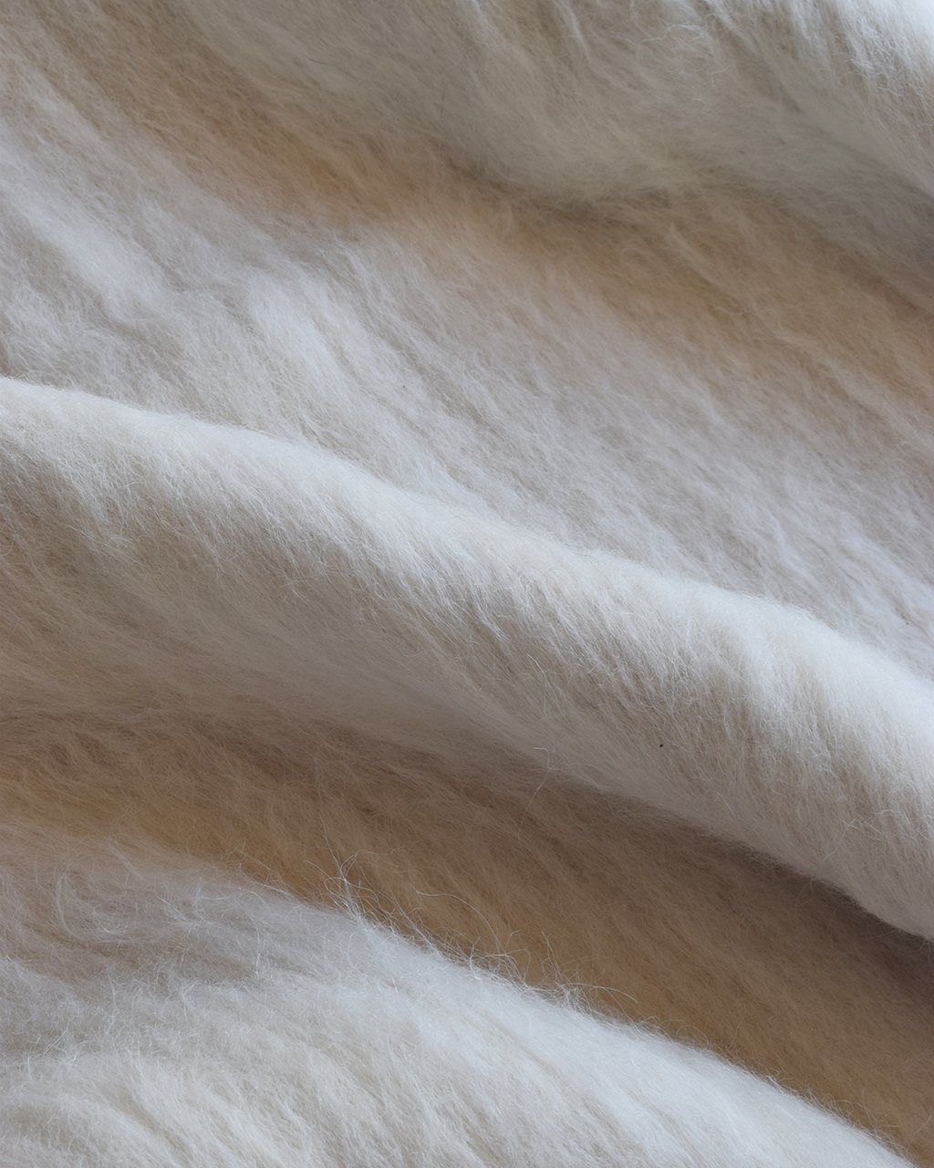 Baeton Blanco Llama