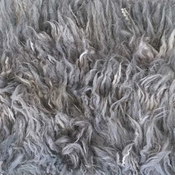 Beni | 72 Slate Gray