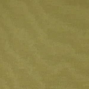 Bord de mer | Quessine | Genêts