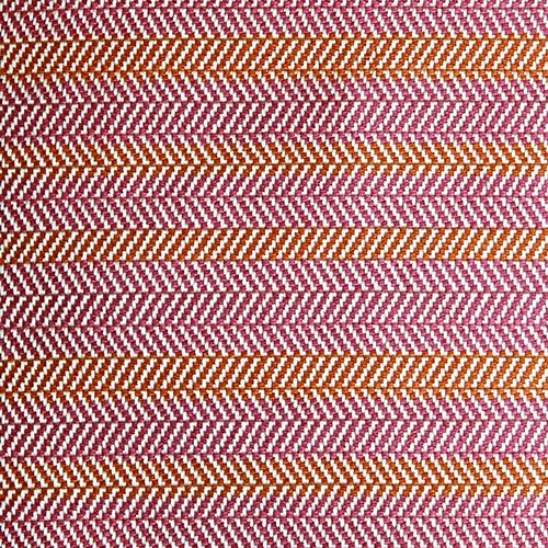 Indochine | Begonia Nectarine