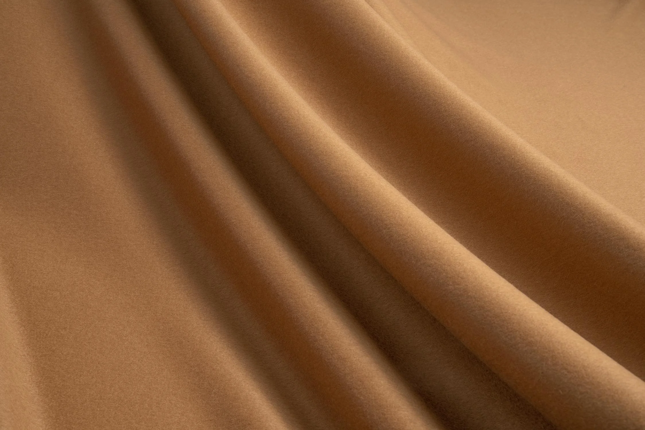 Liso | Camel