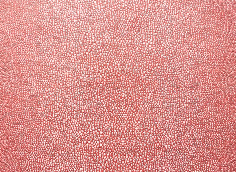 Grain de Galuchat | Corail