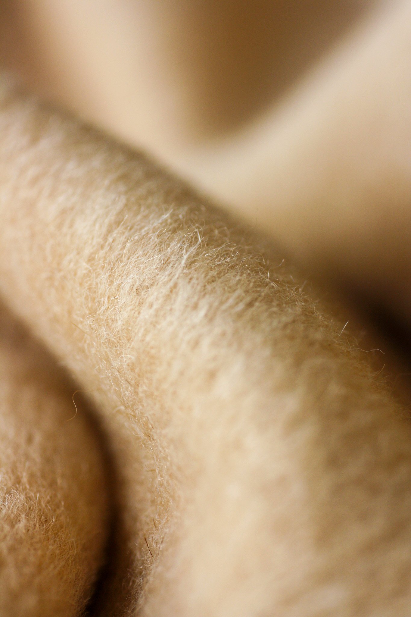 Caricia | Nude