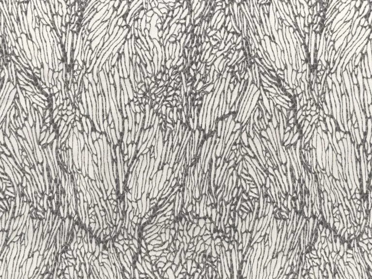 Gorgone | Nacre