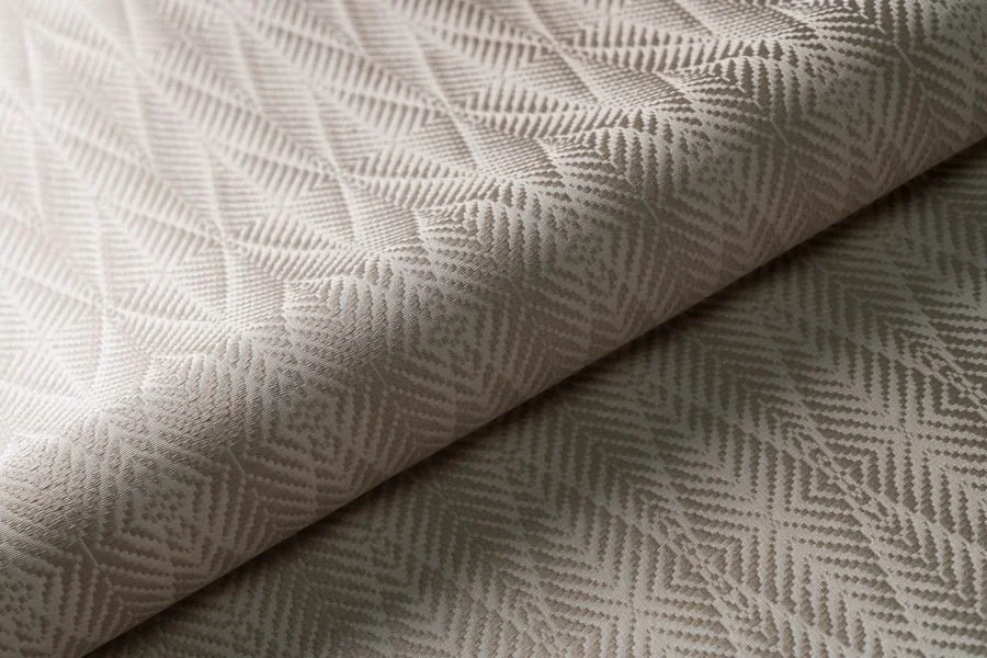 Palm 2 | On Safari