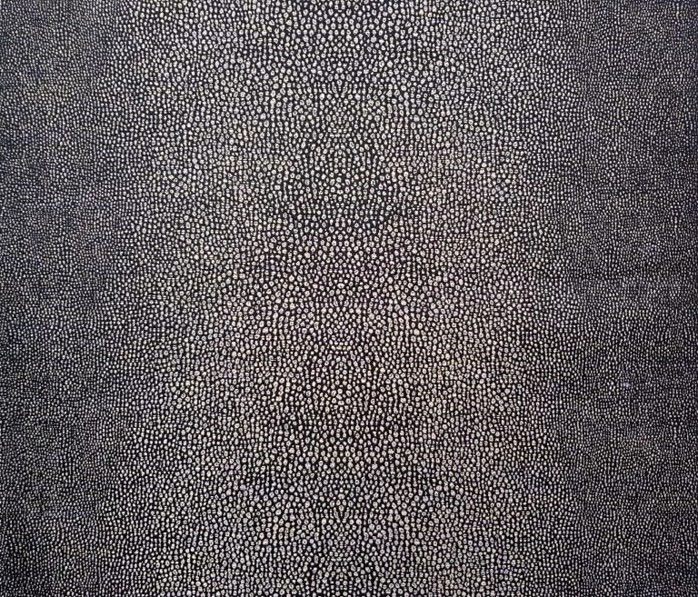 Grain de Galuchat | Noir