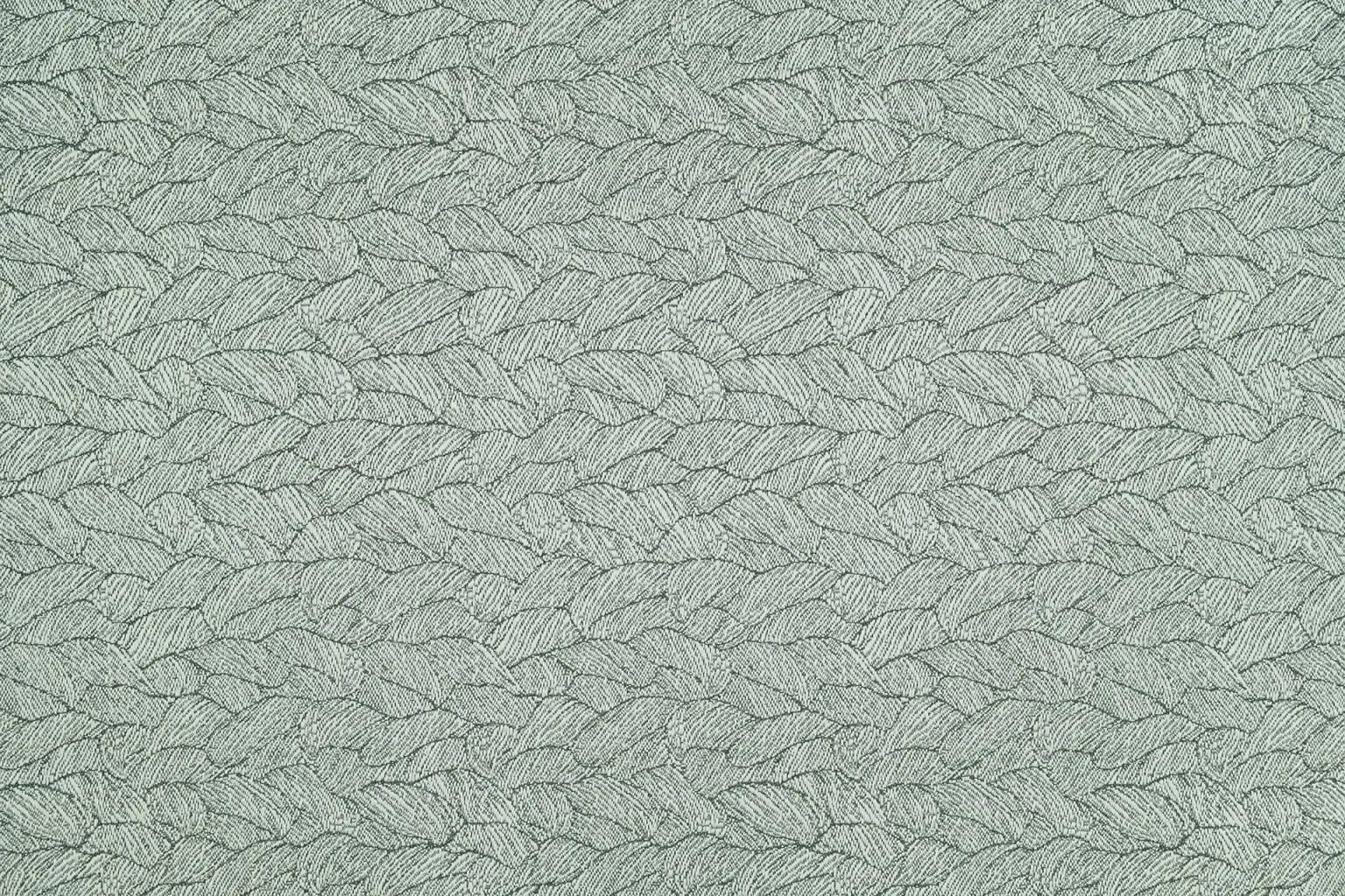 Ecorce | Givre