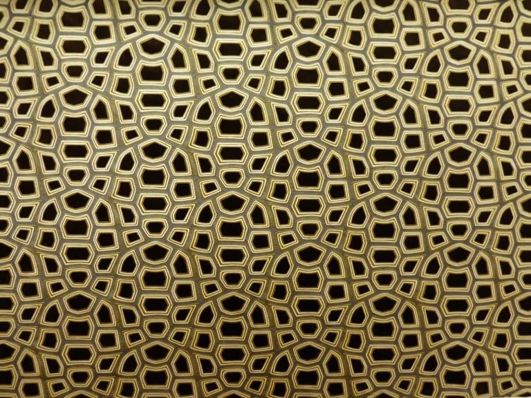 Carapace | Laiton
