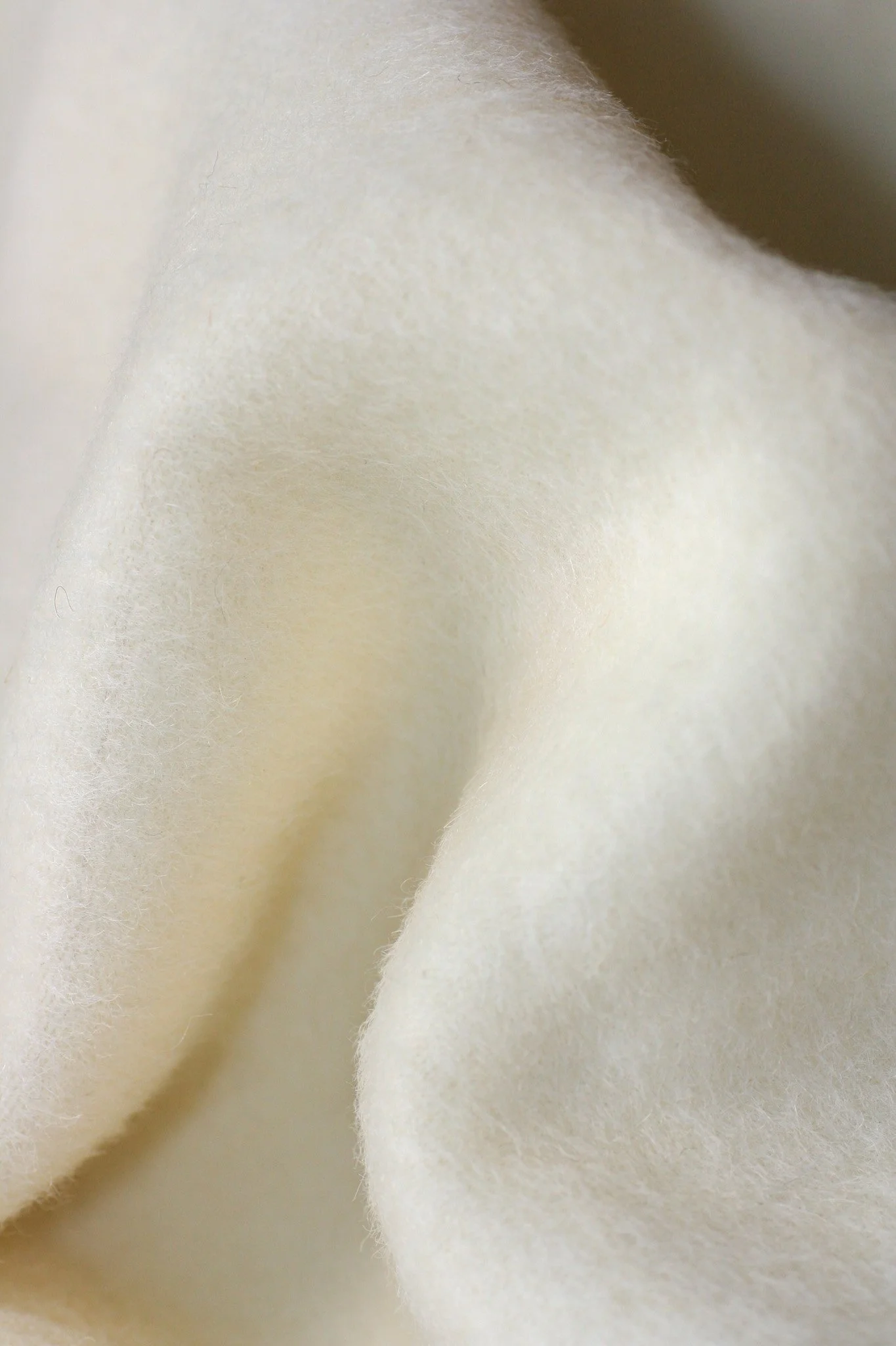 Caricia | White
